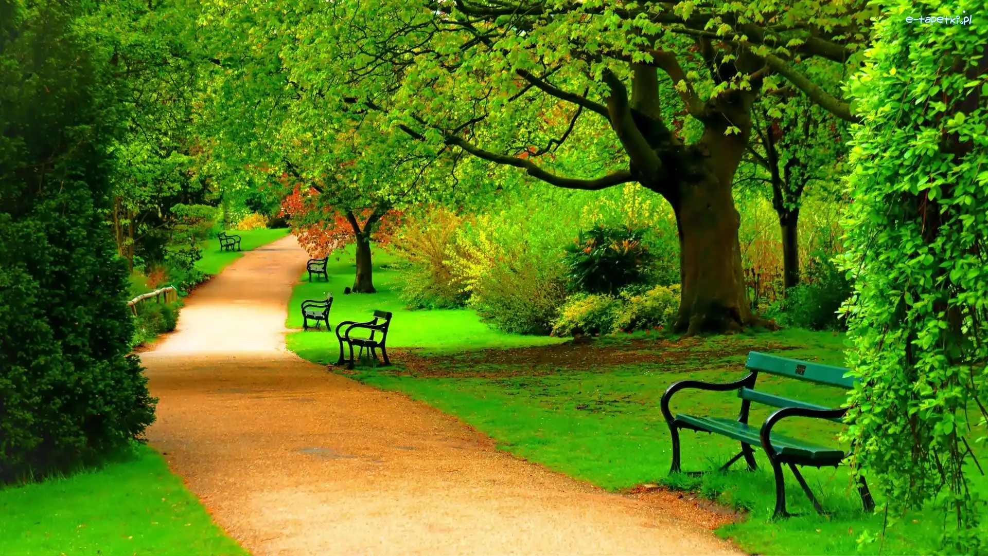 Park, Ławki, Alejka, Wiosna
