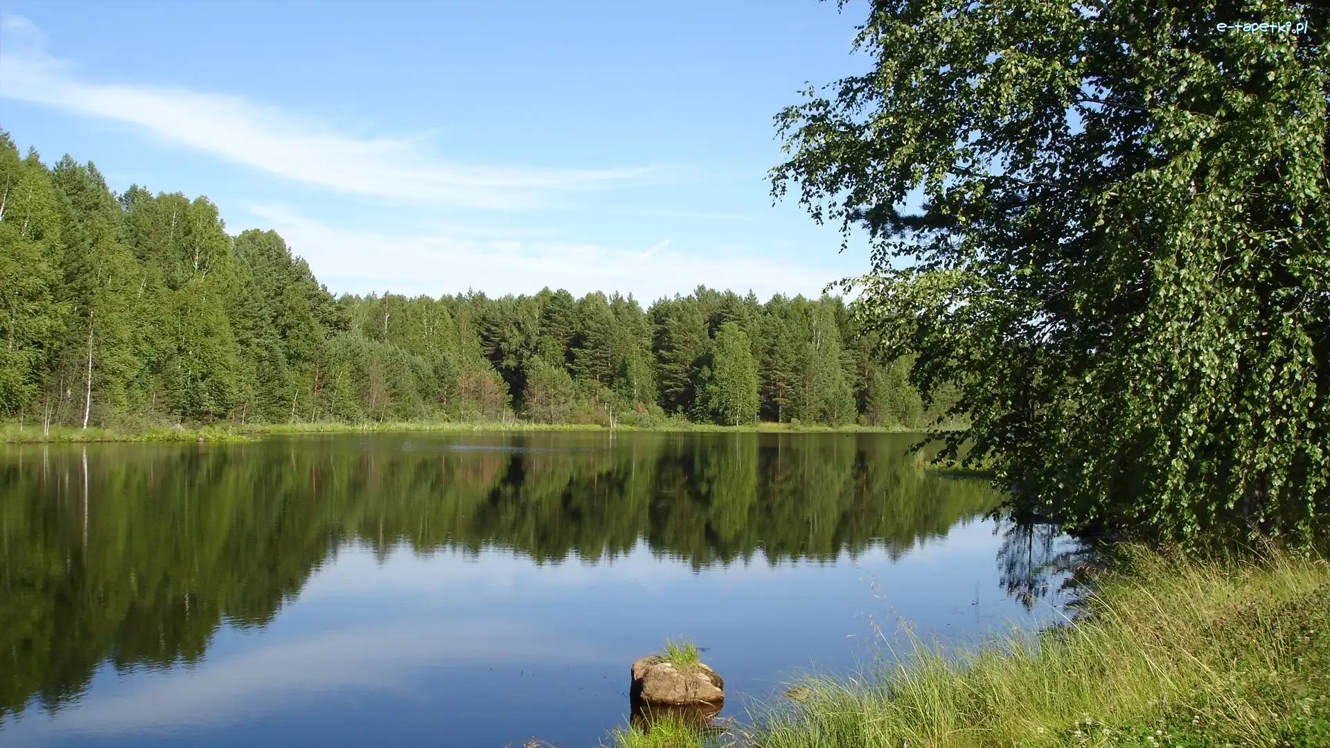 Woda, Liść, Trawa, Brzeg