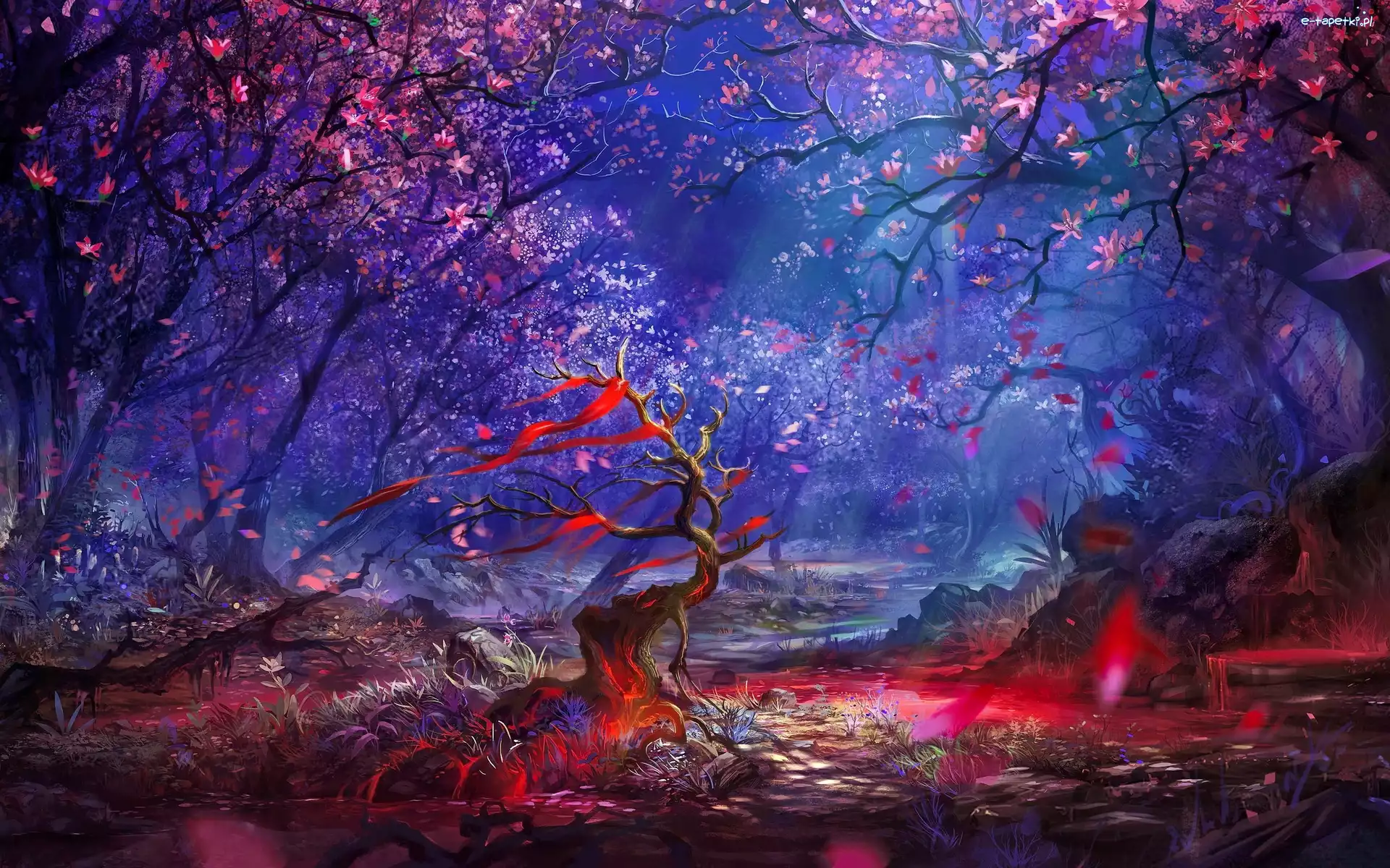 Las, Fantasy, Grafika