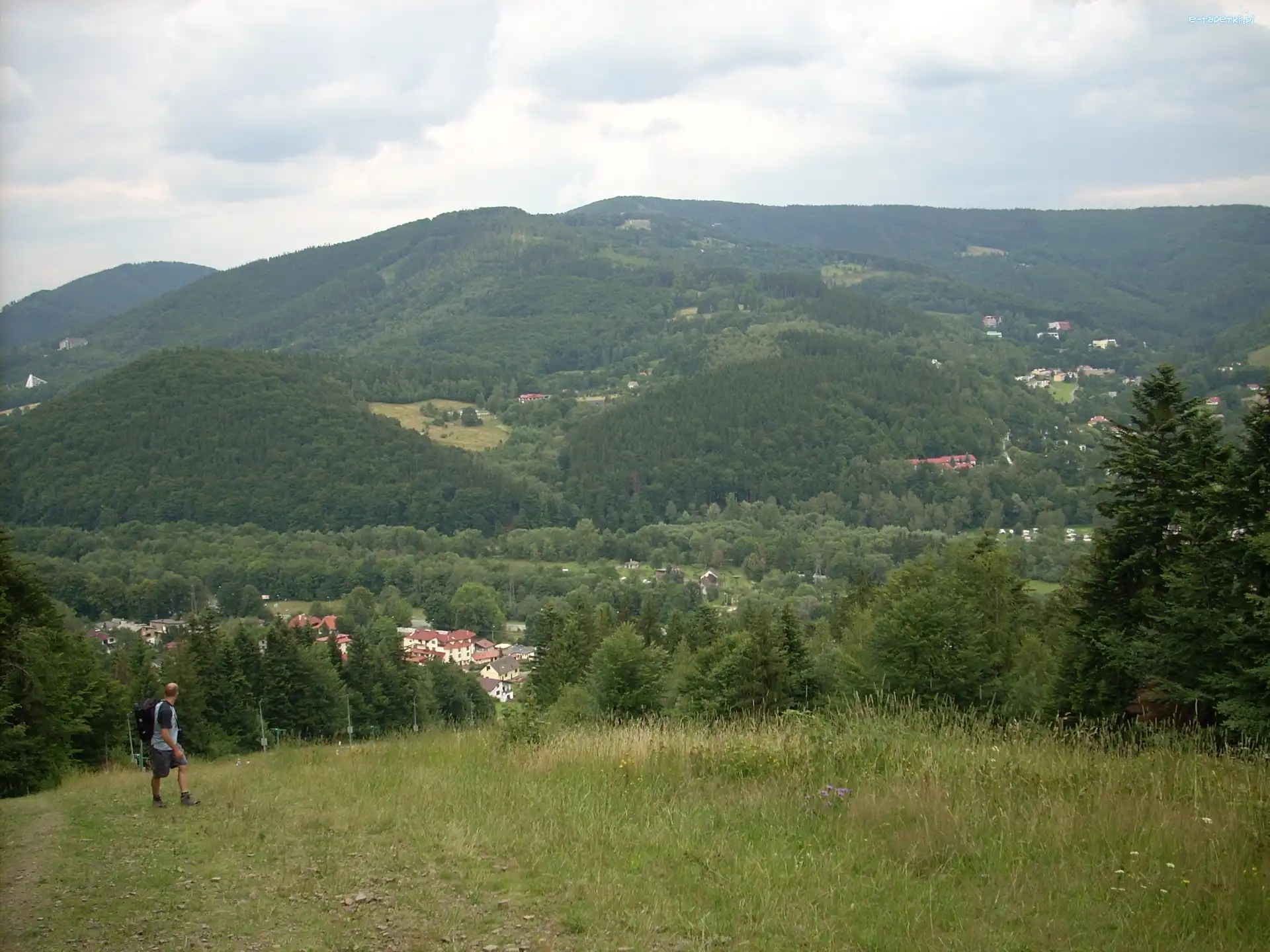 lasy, drzewa , Góry