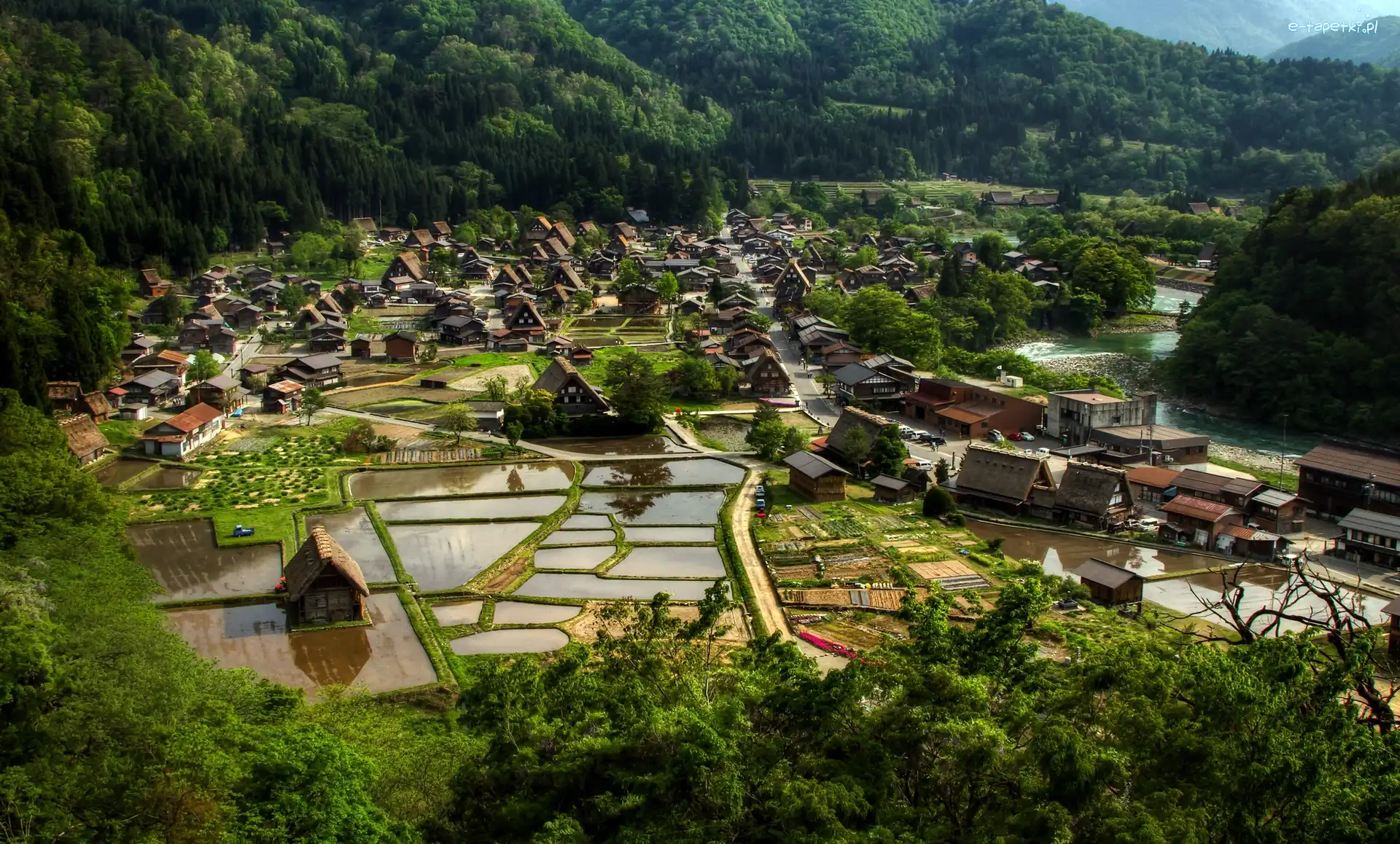 Japonia, Ogimachi, Wieś