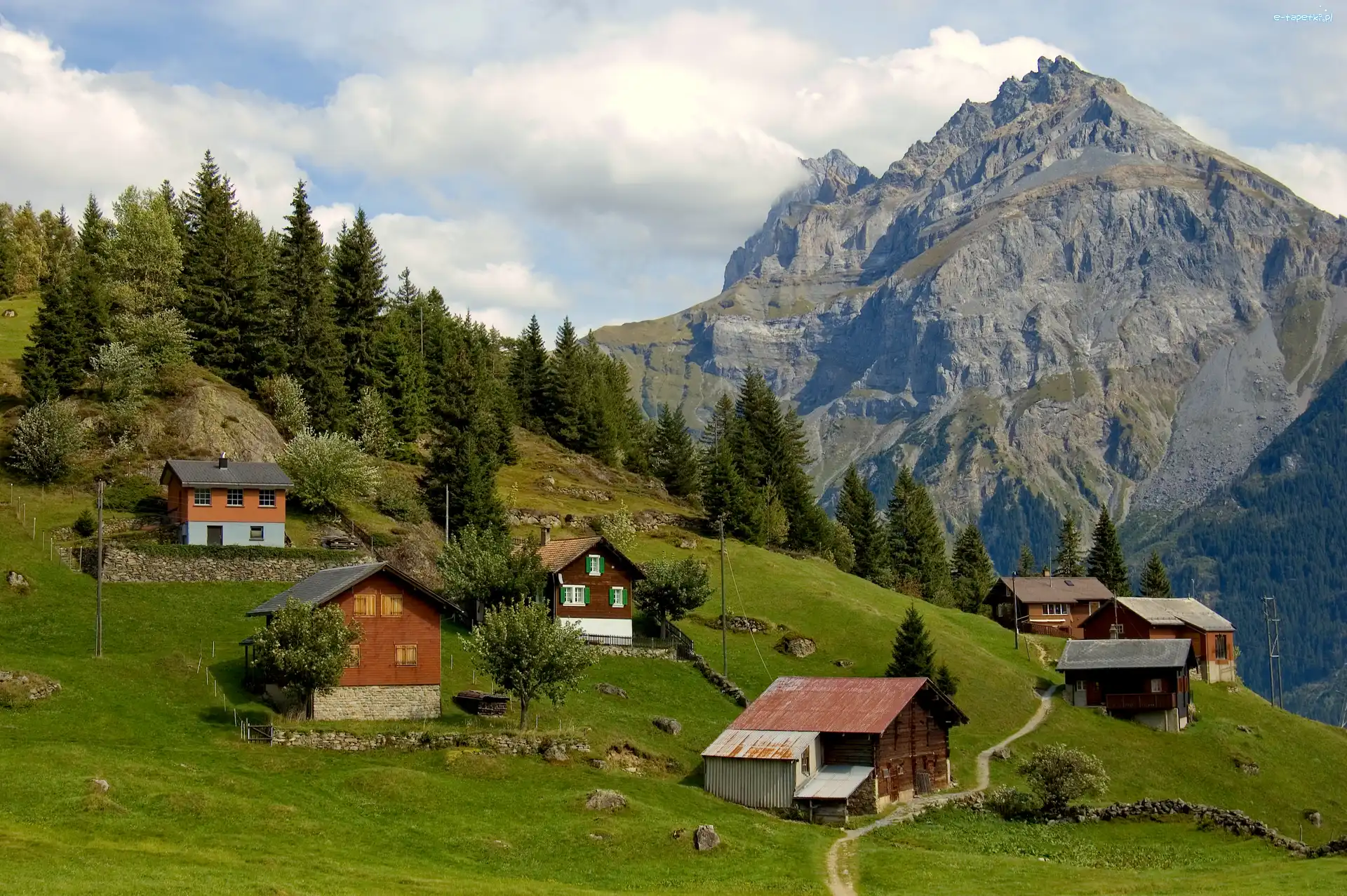 Wioska, Las, Alpy