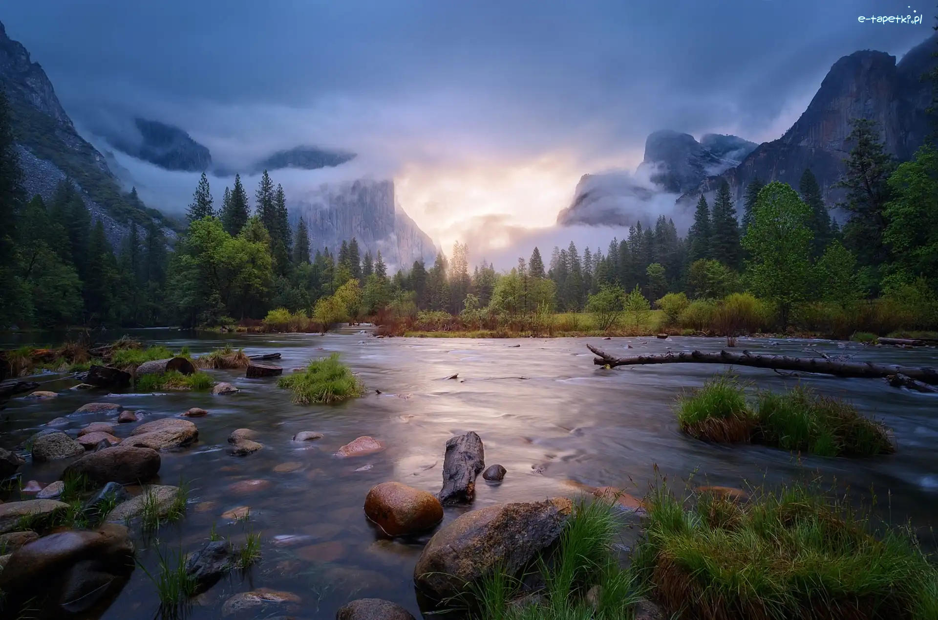 Lasy, Park Narodowy Yosemite, Góry, Wiosna, Stan Kalifornia, Stany Zjednoczone