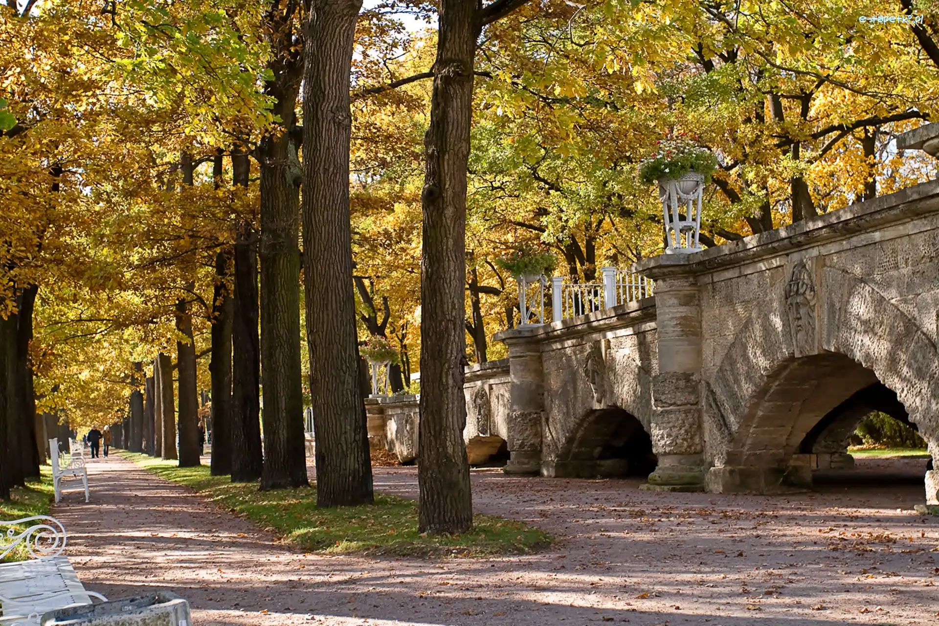 Most, Park, Jesień