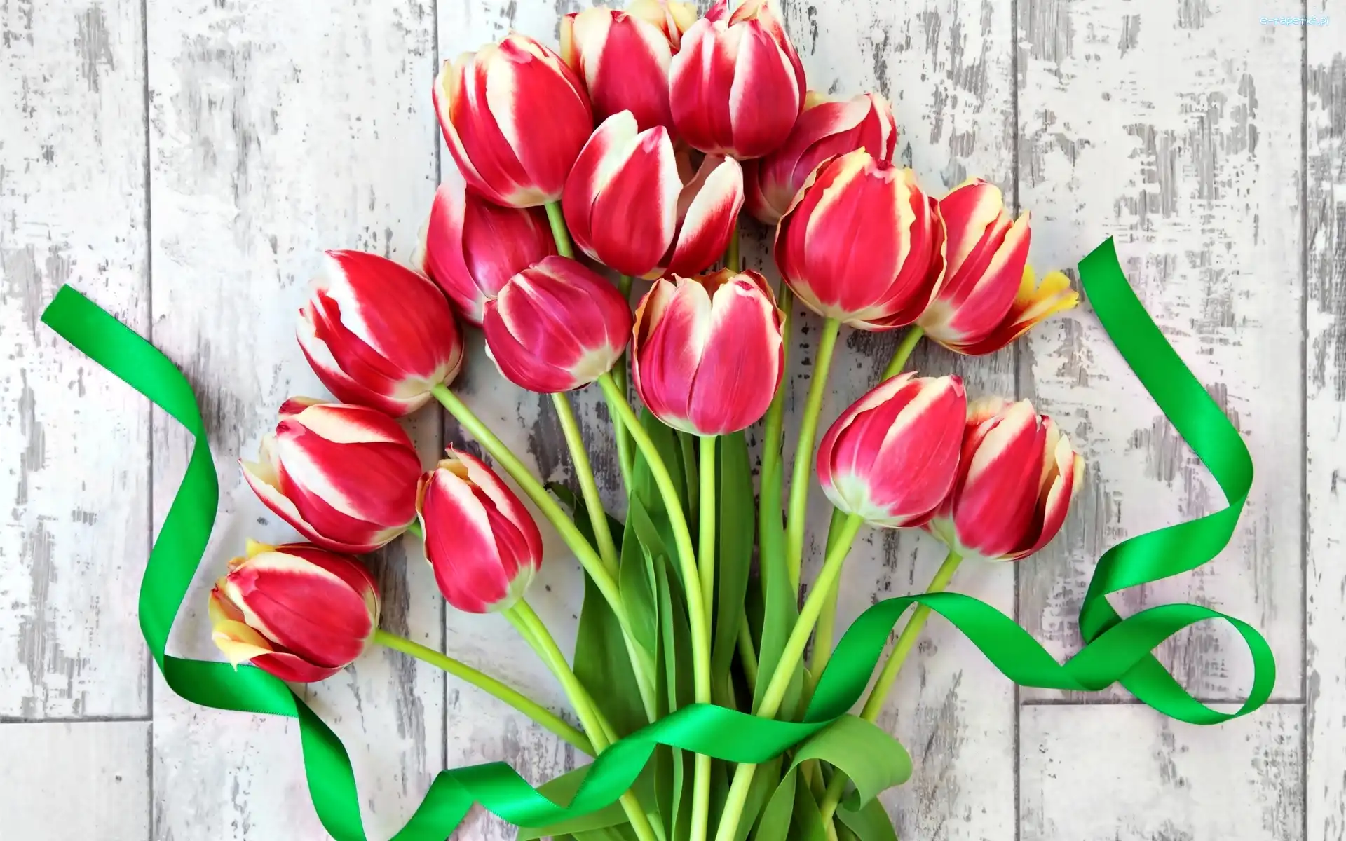 Tulipany, Czerwone, Bukiet