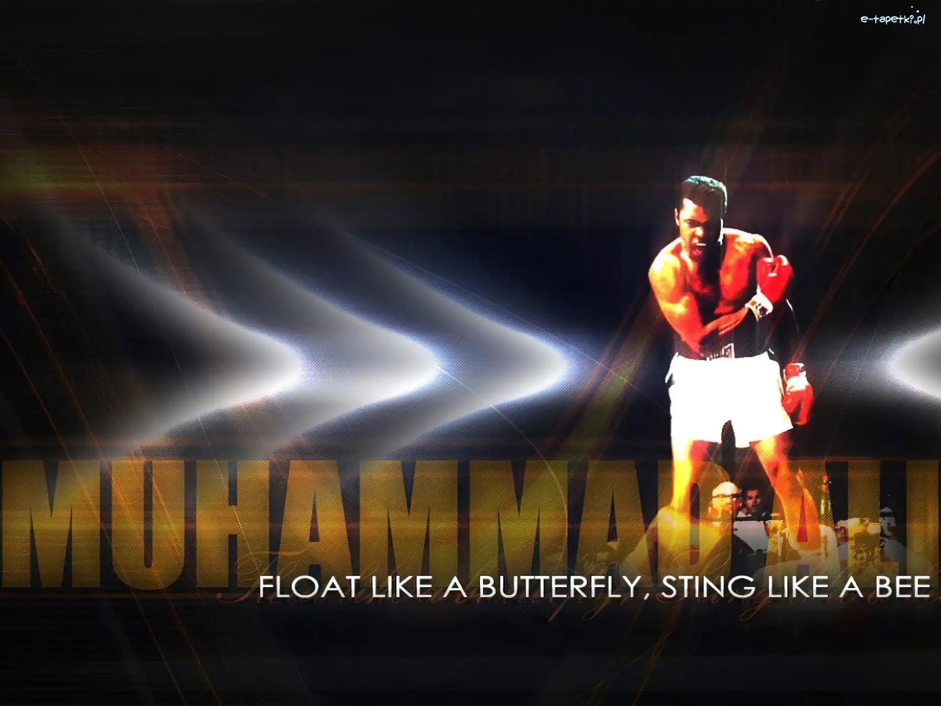 Muhammad Alii, Boks