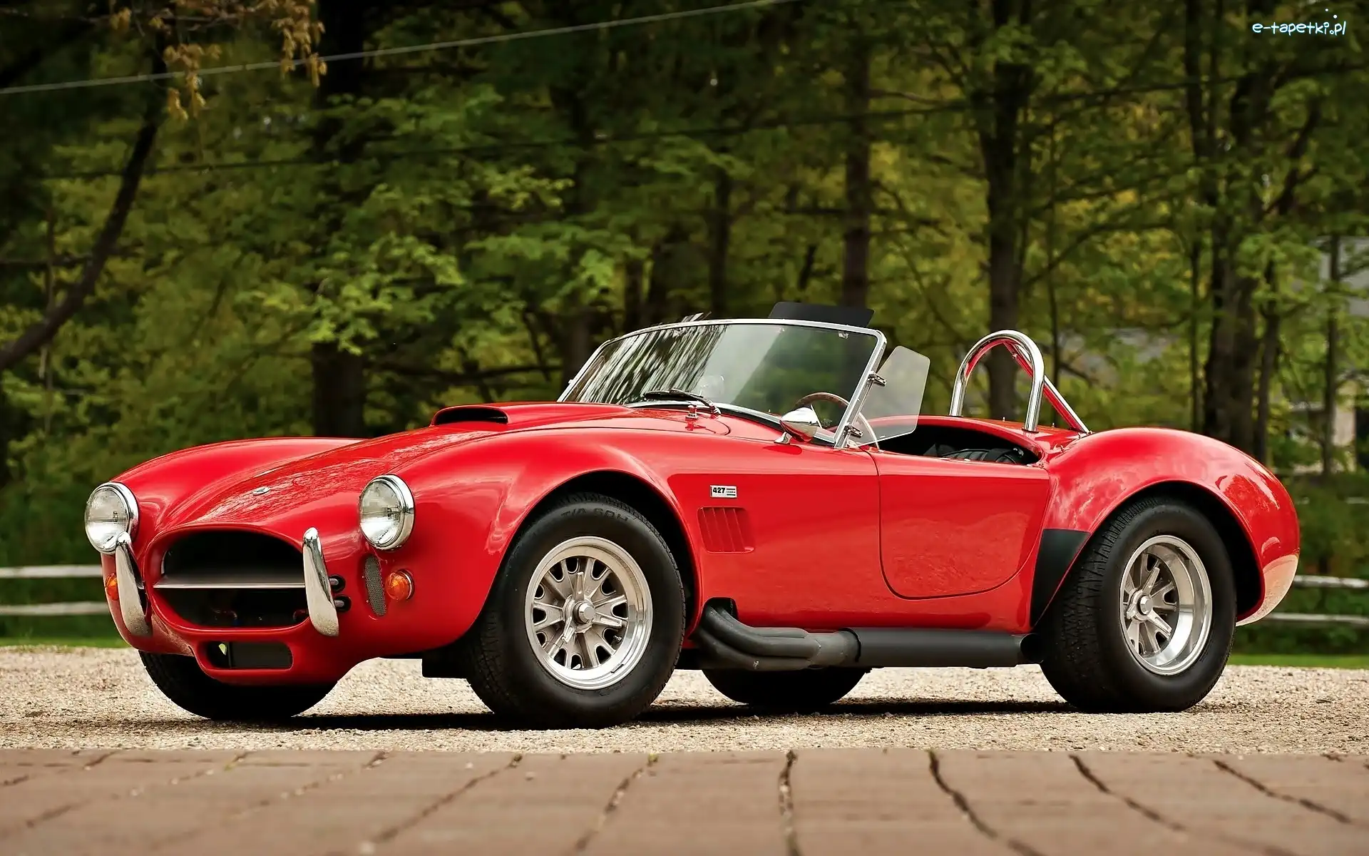 Ford, AC Cobra, Shelby, Czerwony