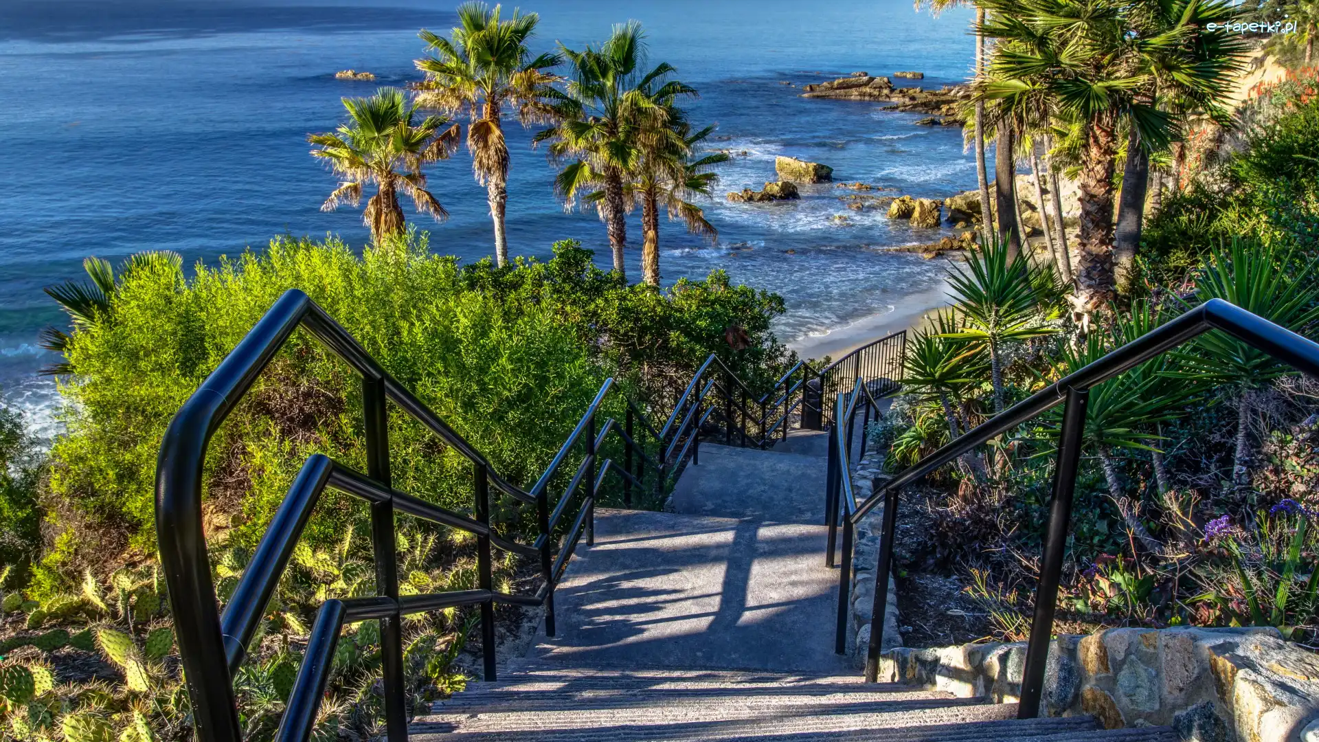 Kalifornia, Palmy, Schody, USA, Ocean, Wybrzeże