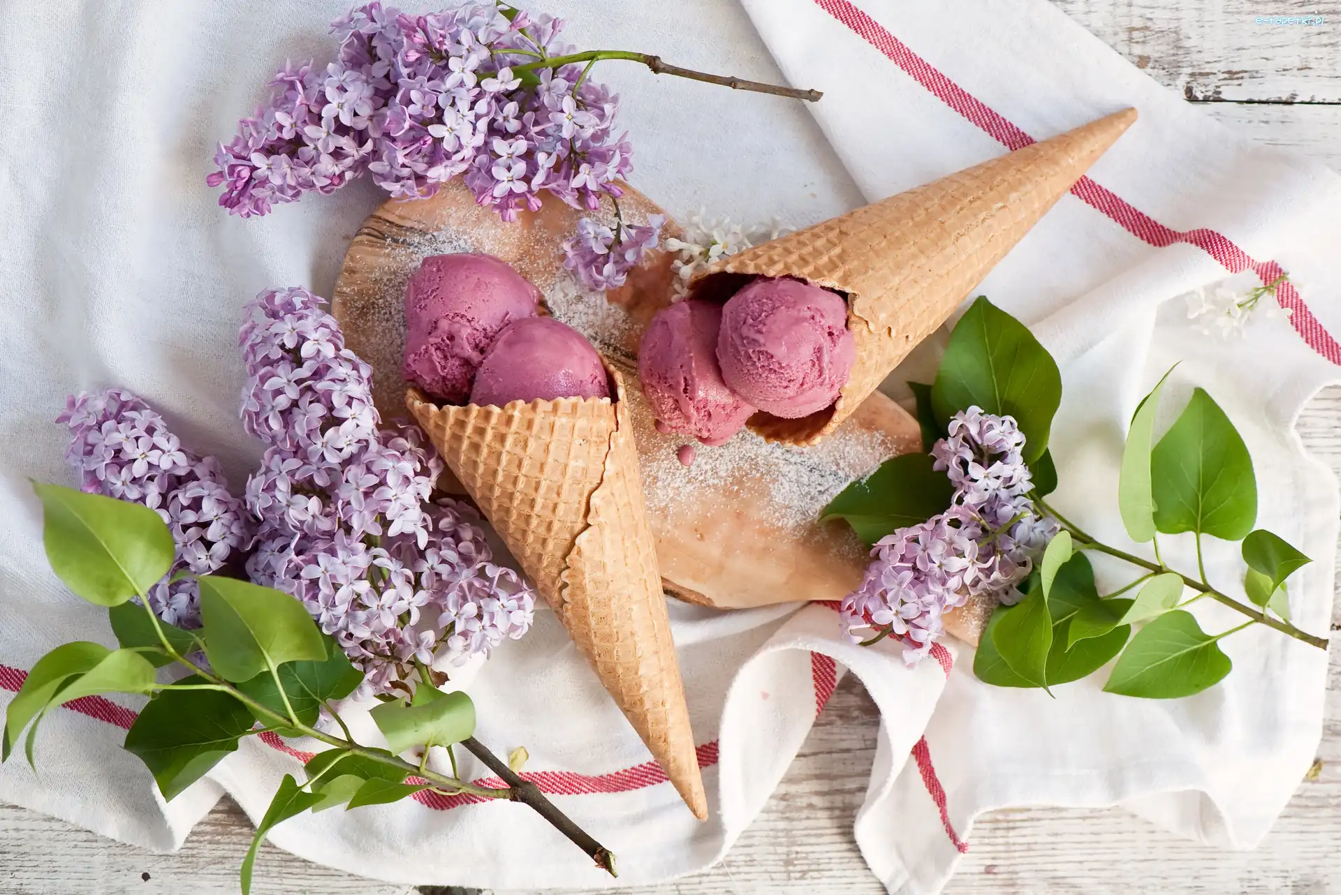 Lody, Bez