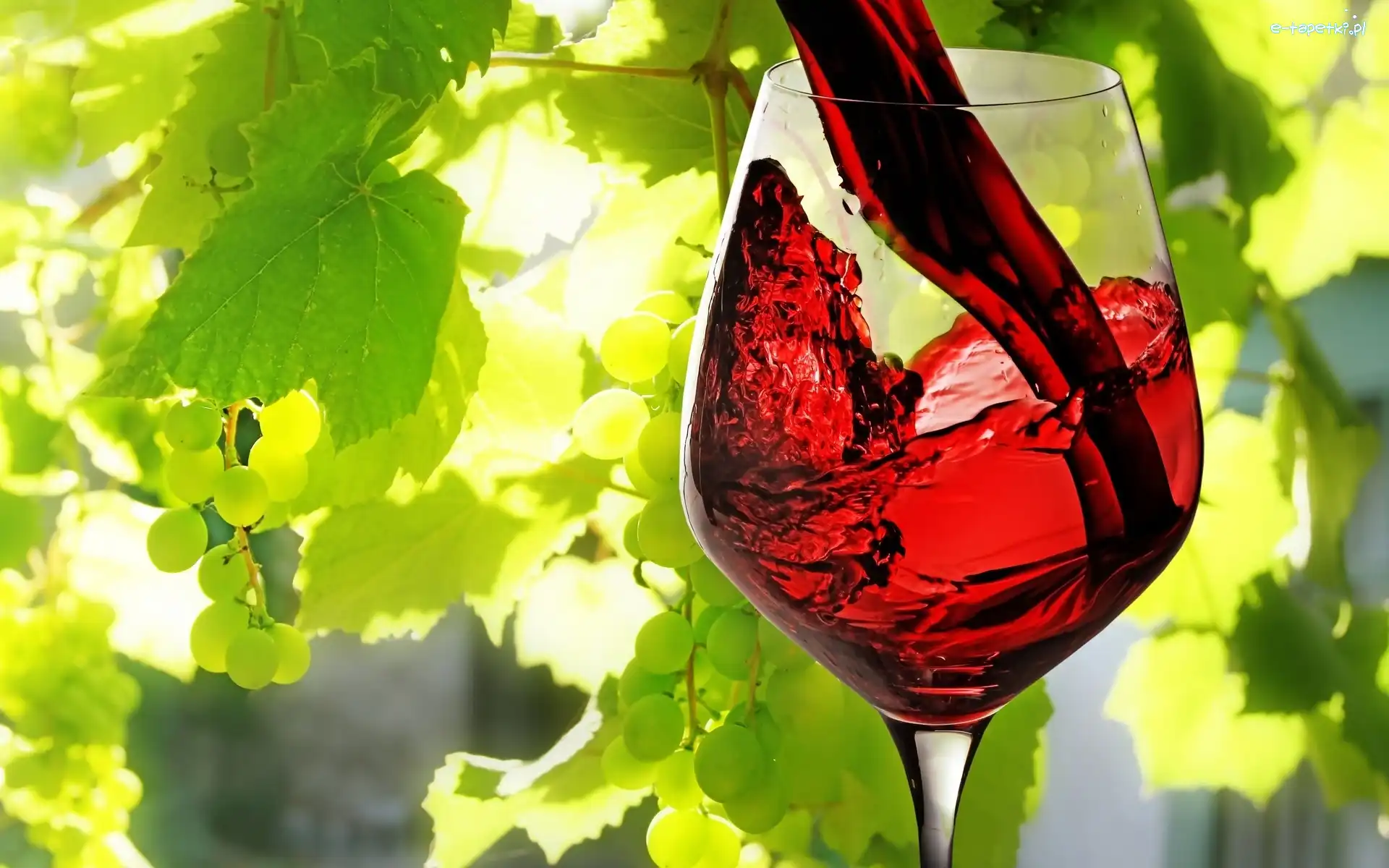 Wino, Winogrono, Lampka, Czerwone