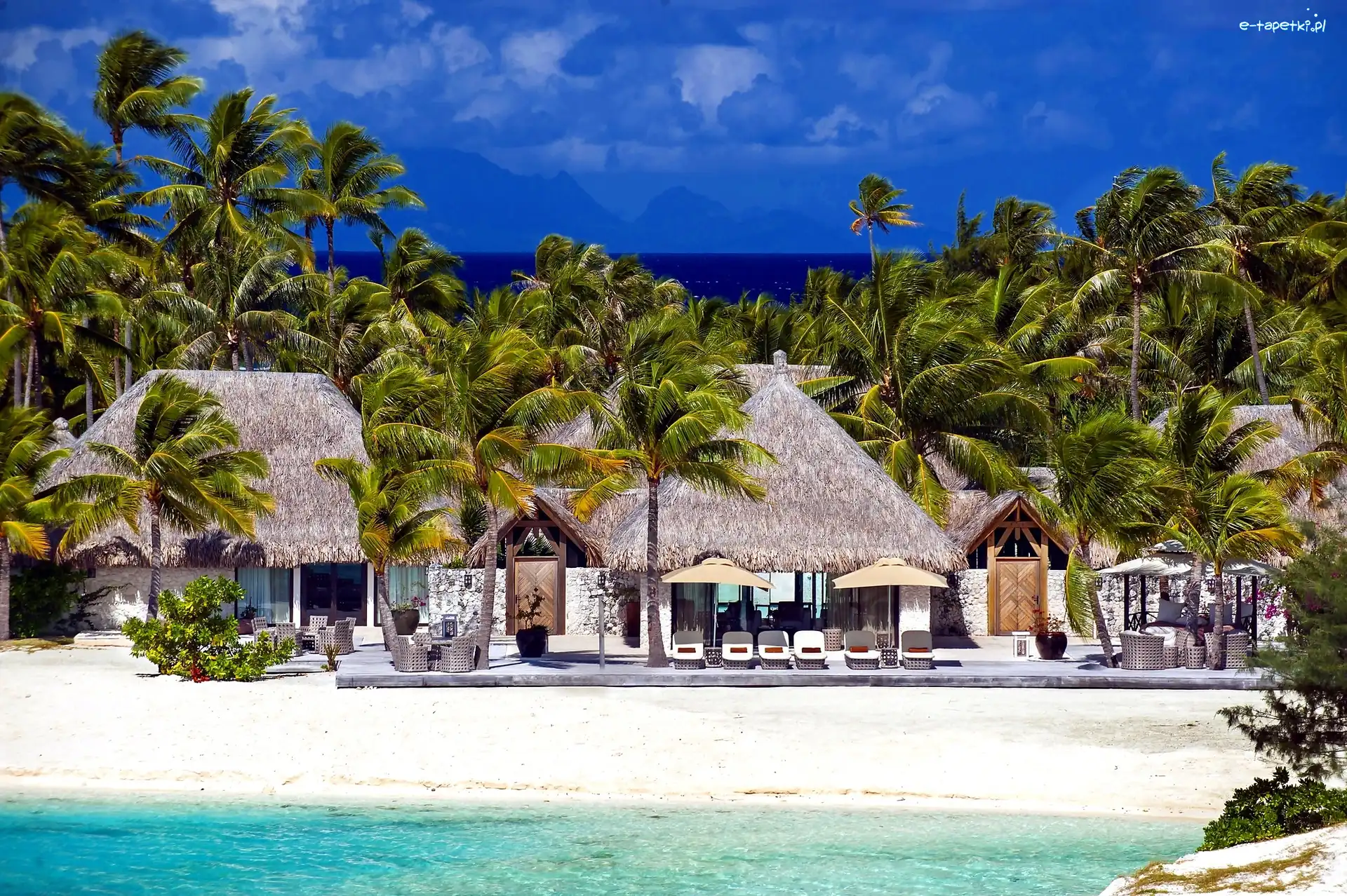 Dom, Plaża, Palmy, Bora Bora, Ocean