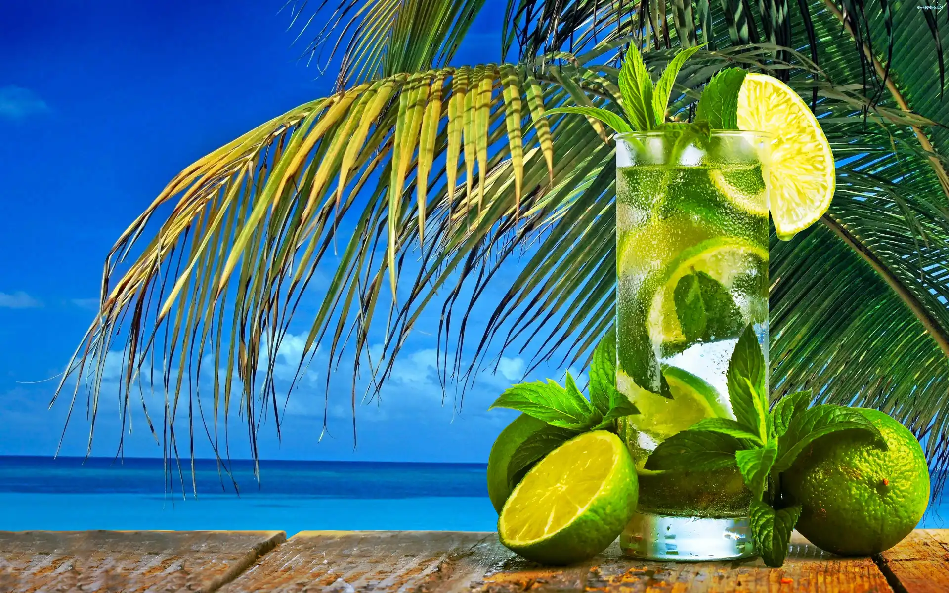 Palma, Tropiki, Ocean, Drink Mojito