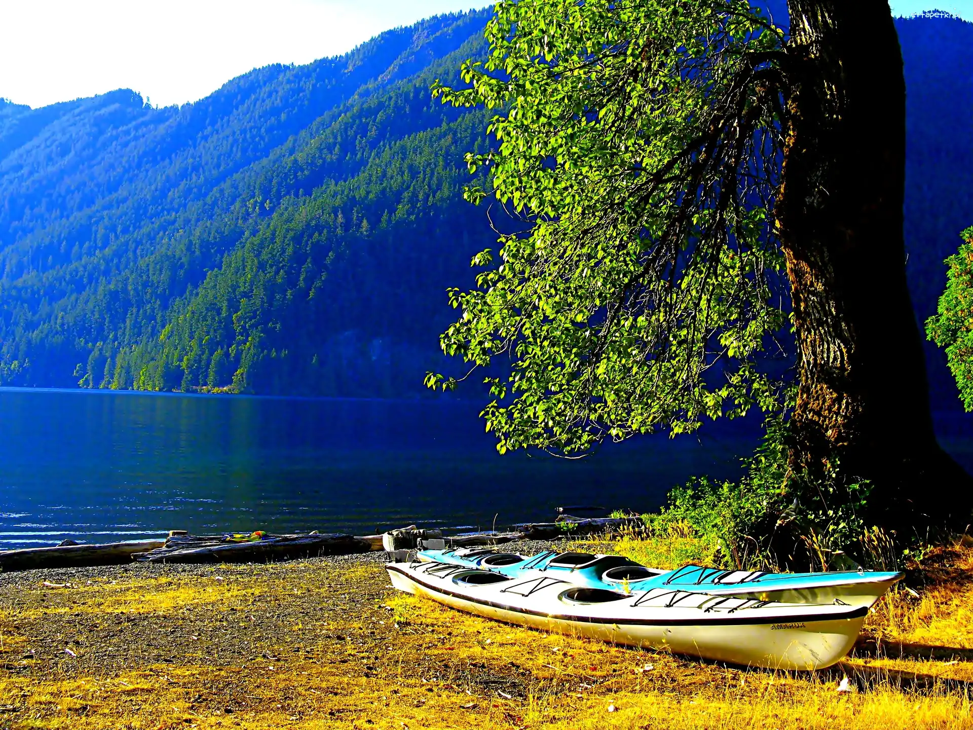 Jezioro, Drzewa, Góry, Kajaki