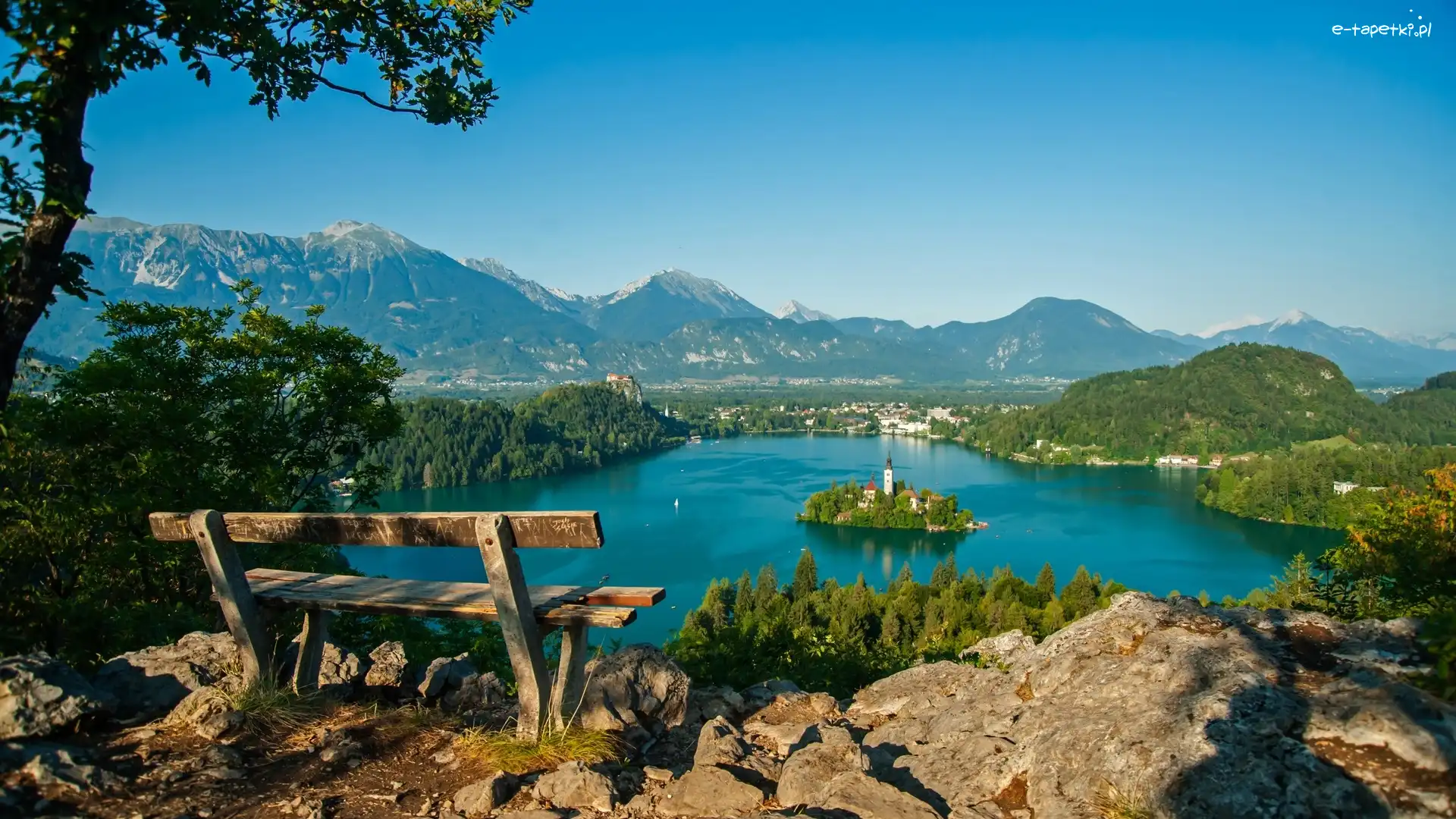 Bled, Drzewo, Ławka, Słowenia, Góry, Jezioro