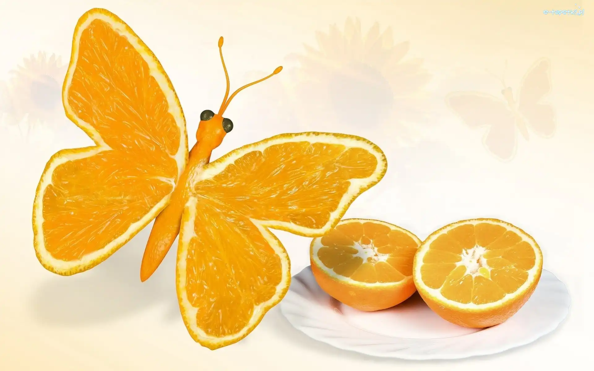 Motyl, Pomarańcze