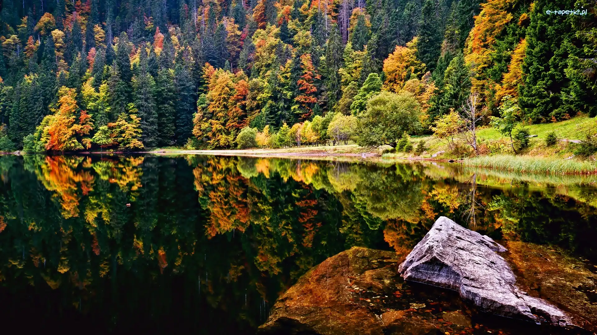 Lasy, Schwarzwald, Skały, Kamienie Jesień, Jezioro, Odbicie, Lustrzane, Niemcy