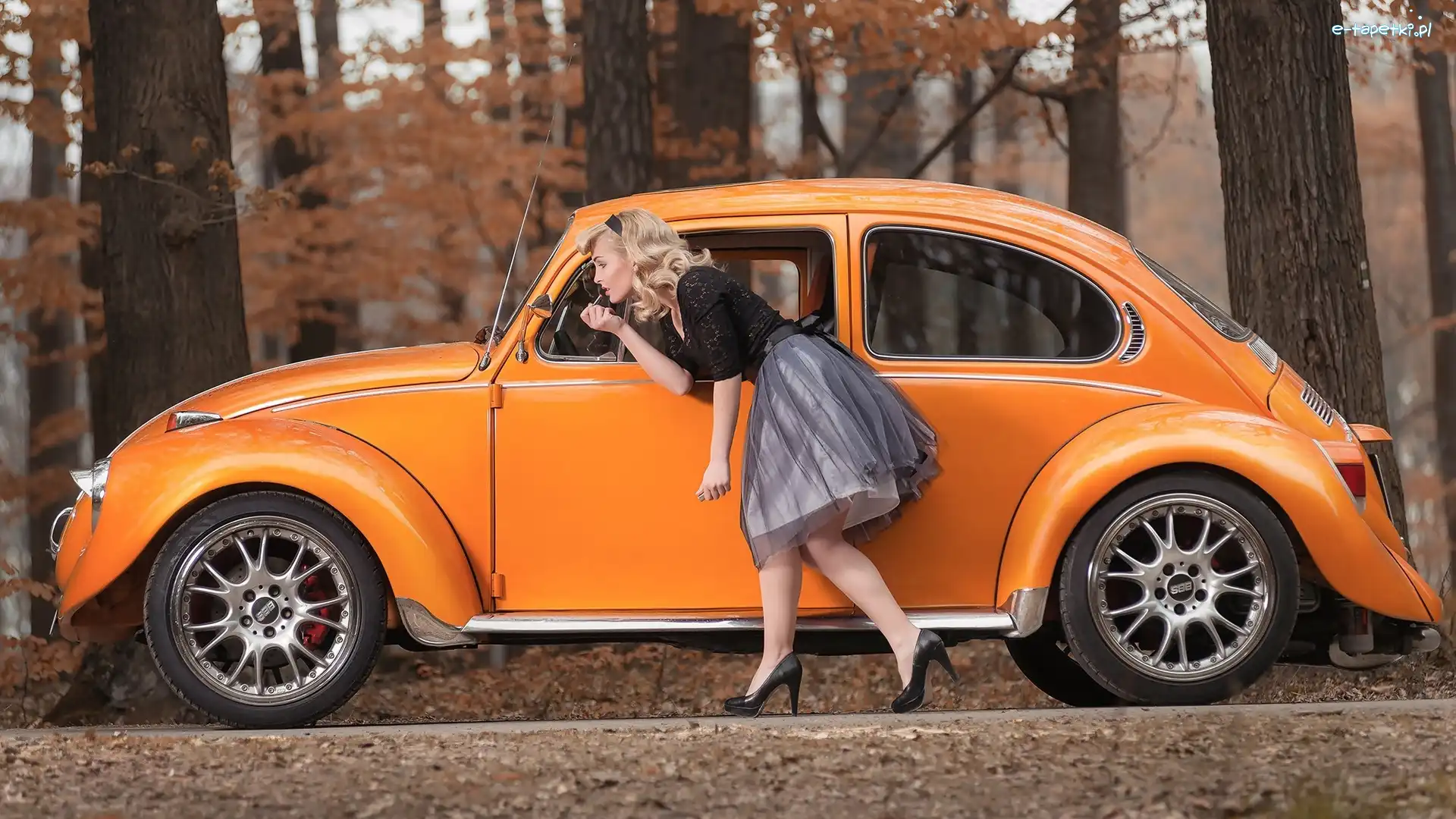 Kobieta, Garbus, Volkswagen, Las