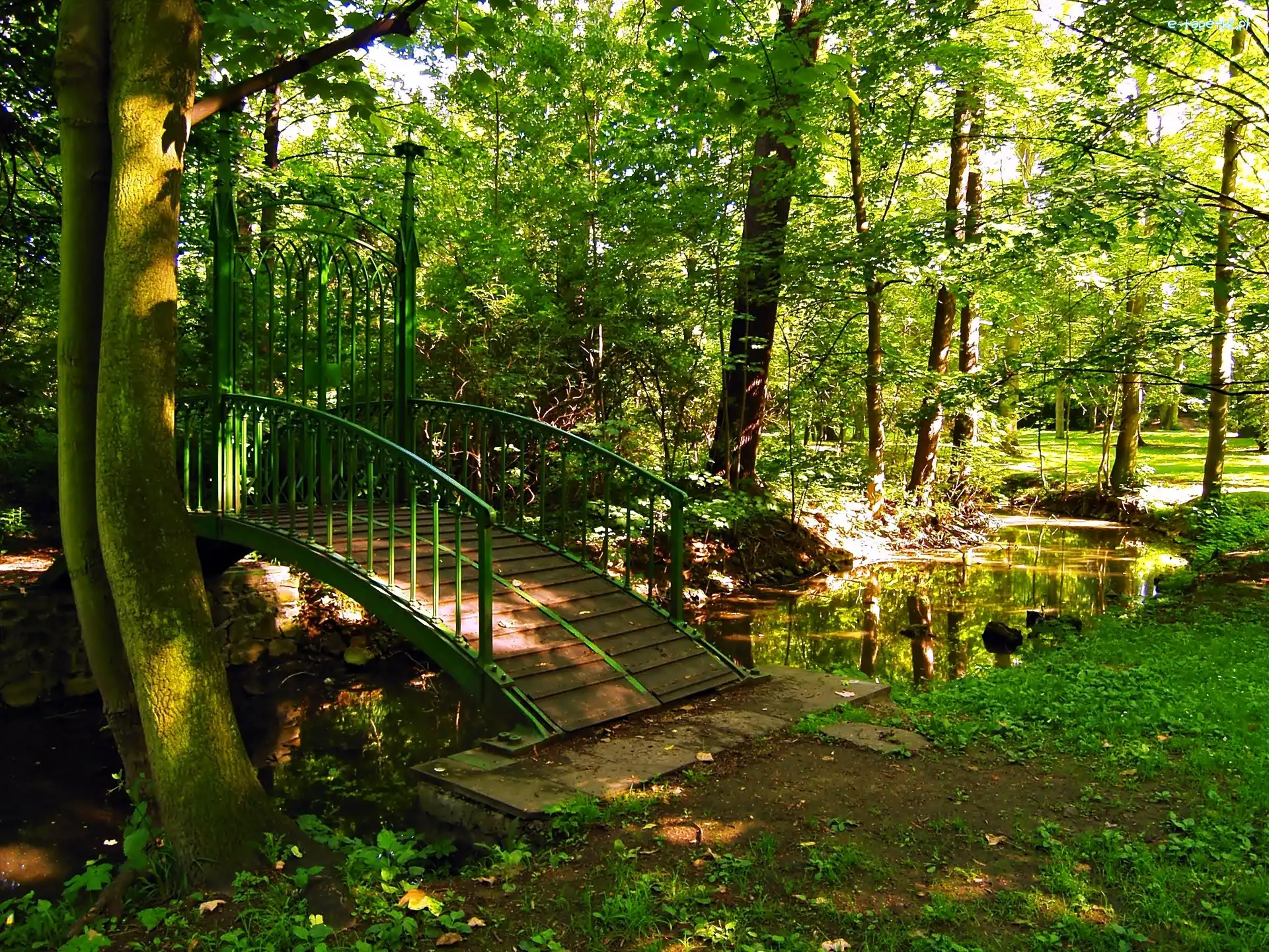 Park, Mostek, Rzeczka, Światło, Przebijające
