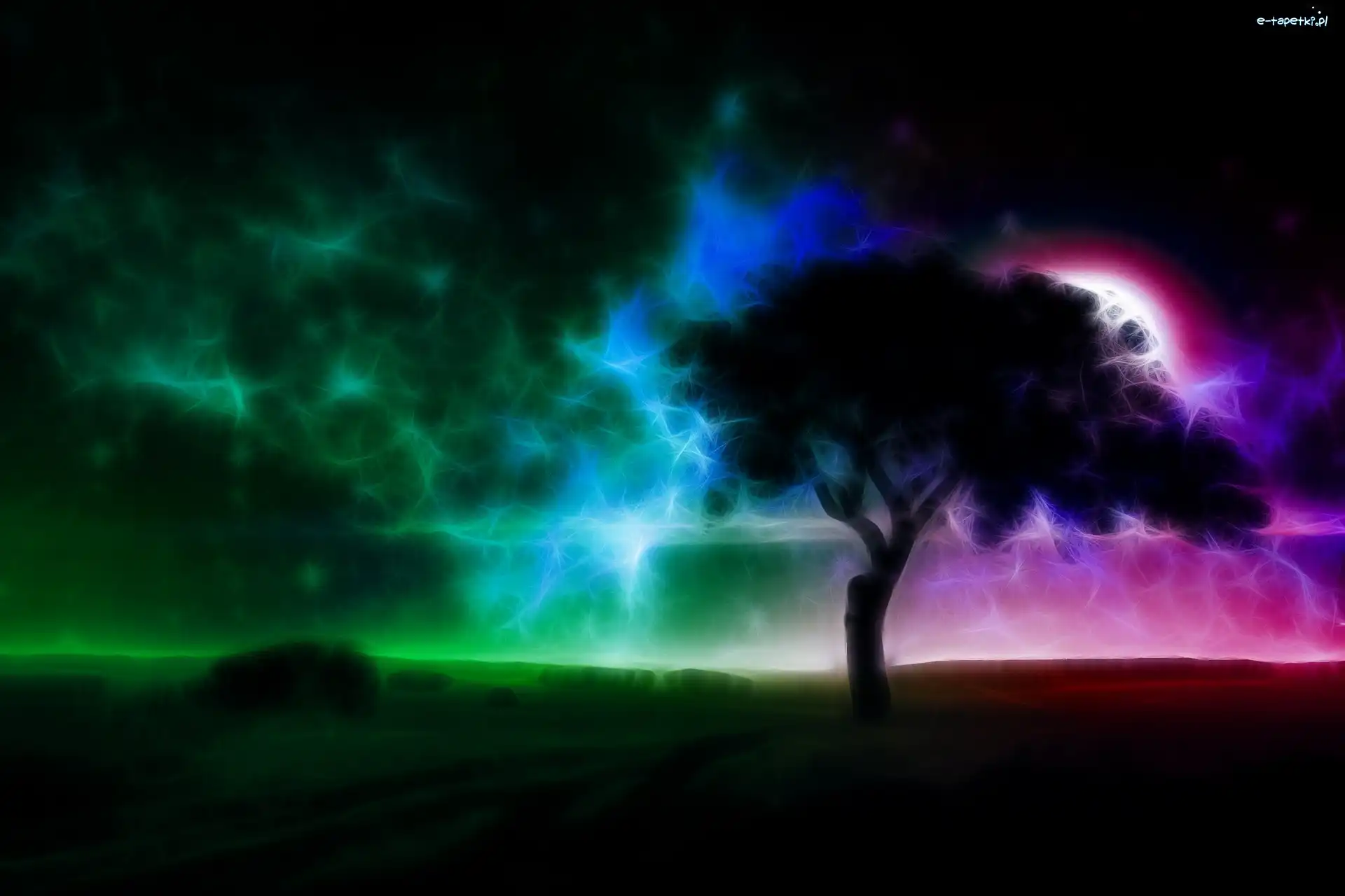 Abstrakcja, Fractalius, Drzewo