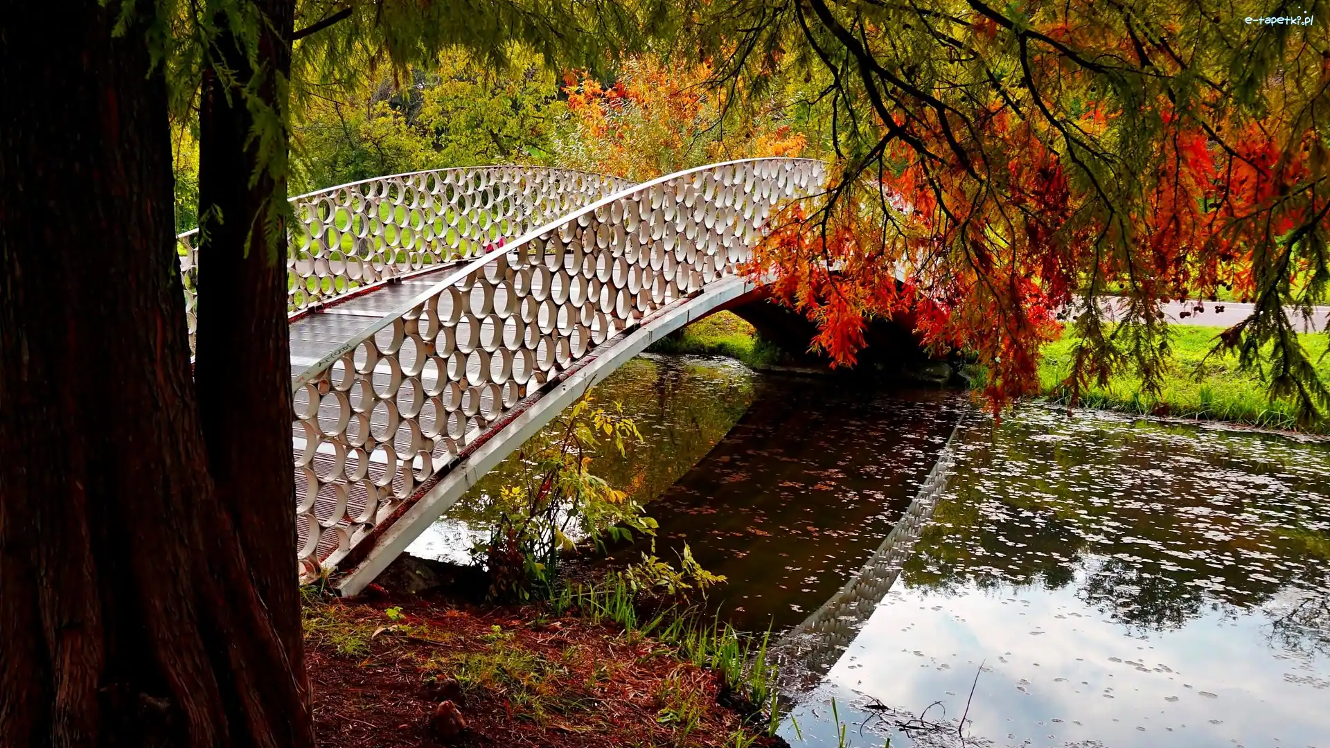 Mostek, Rzeka, Park