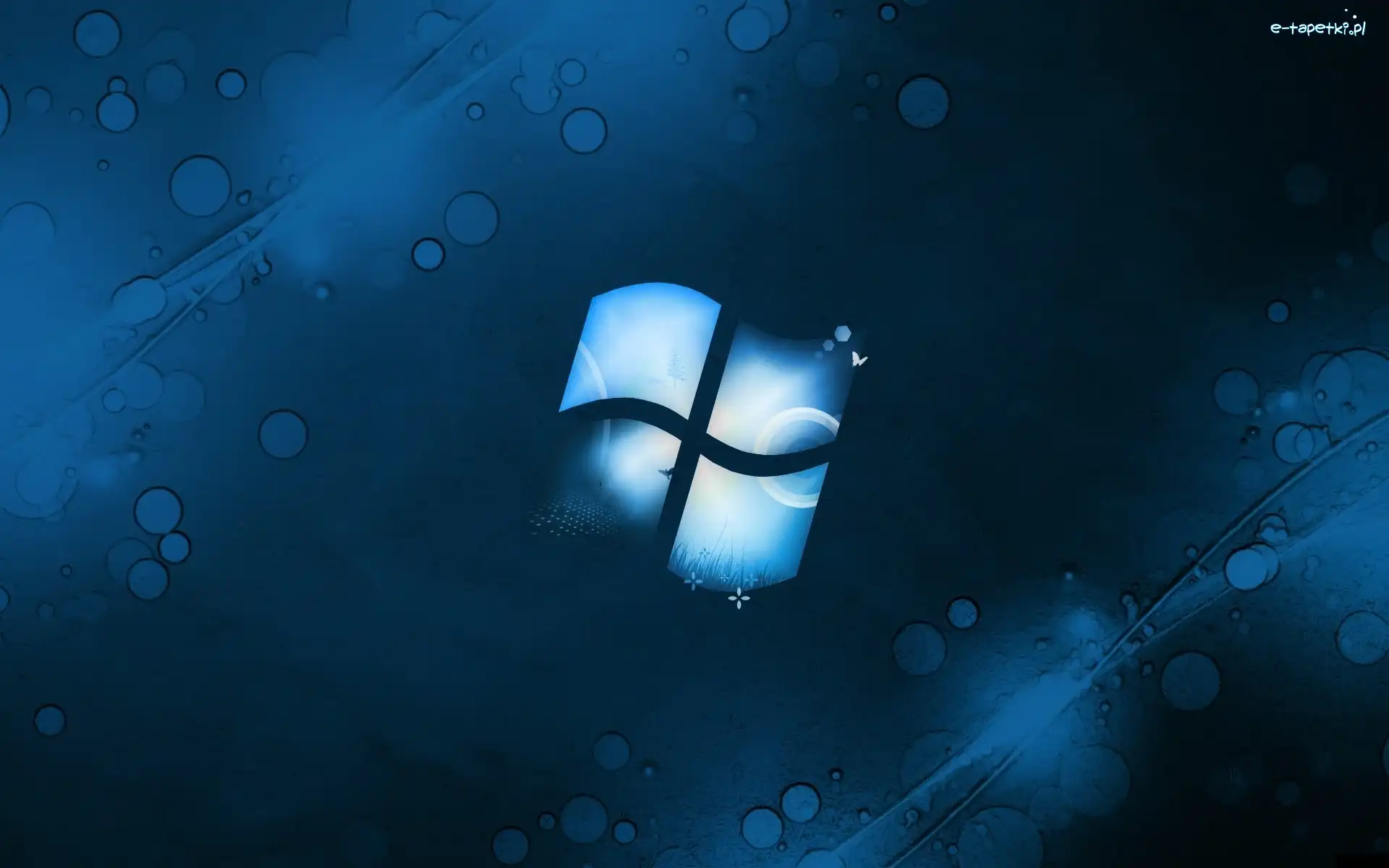 Logo, Windows