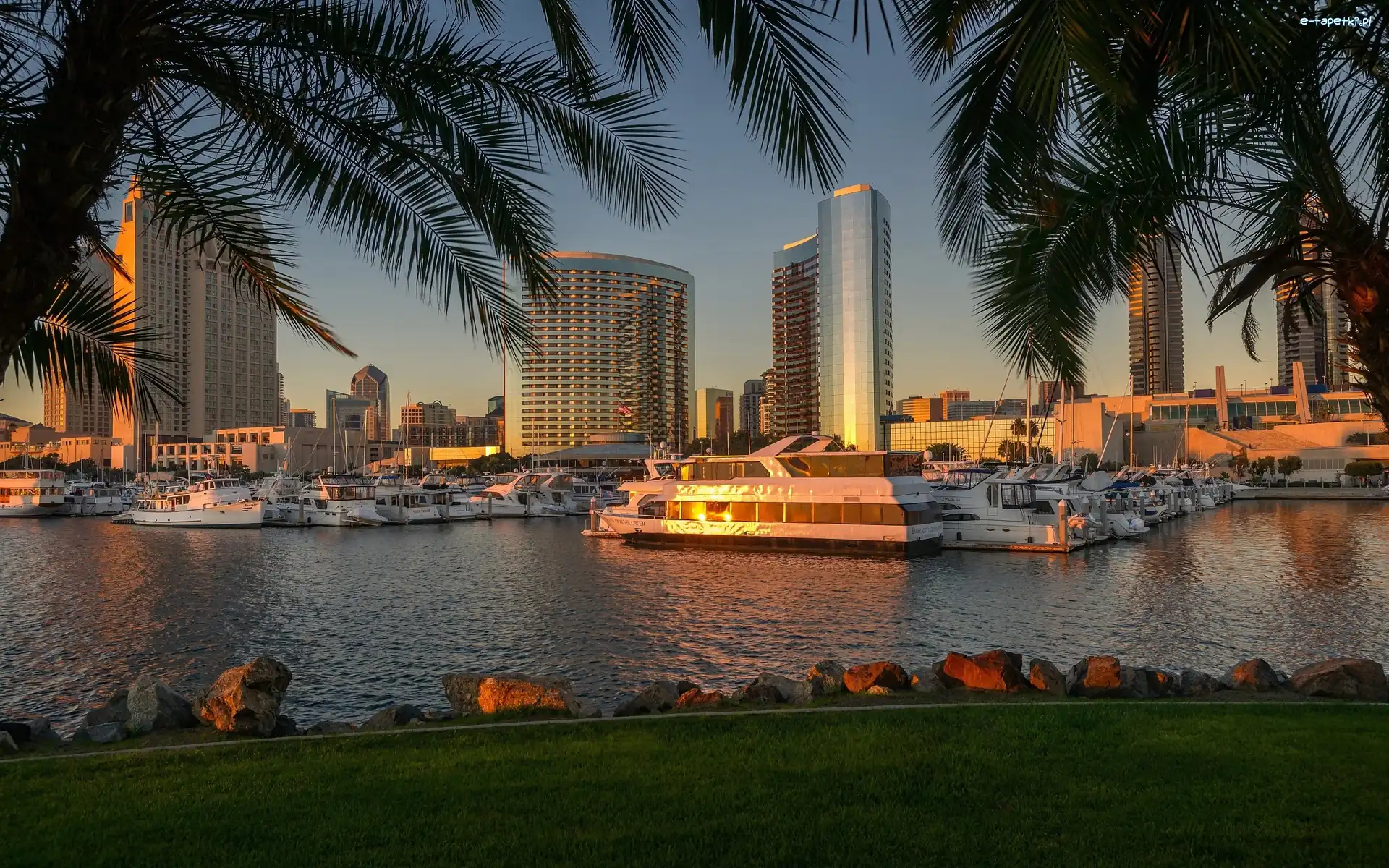 Jachty, Kalifornia, Port, Palmy, USA, San Diego