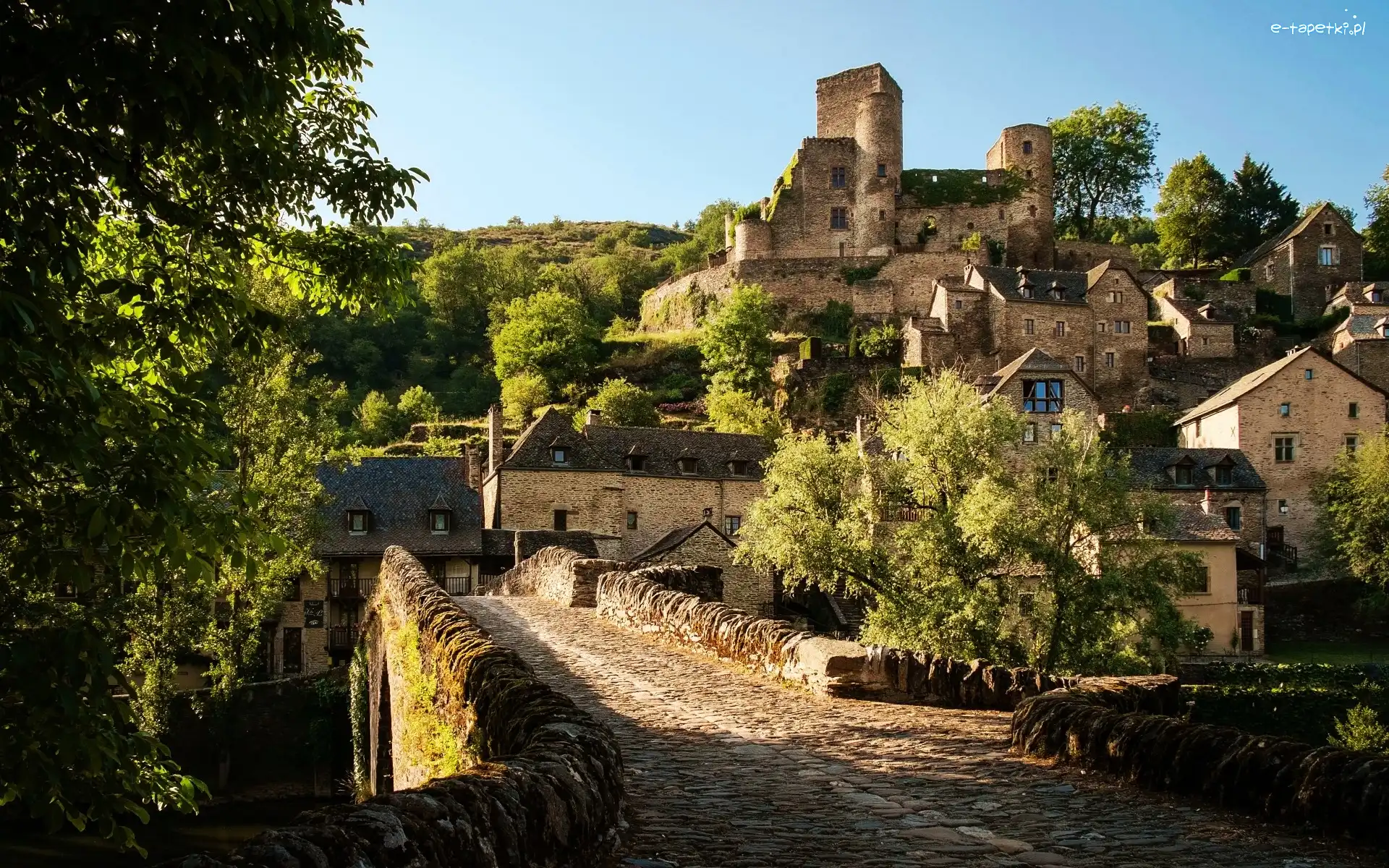 Zamek w Belcastel, Francja, Departament Aveyron, Droga, Domy