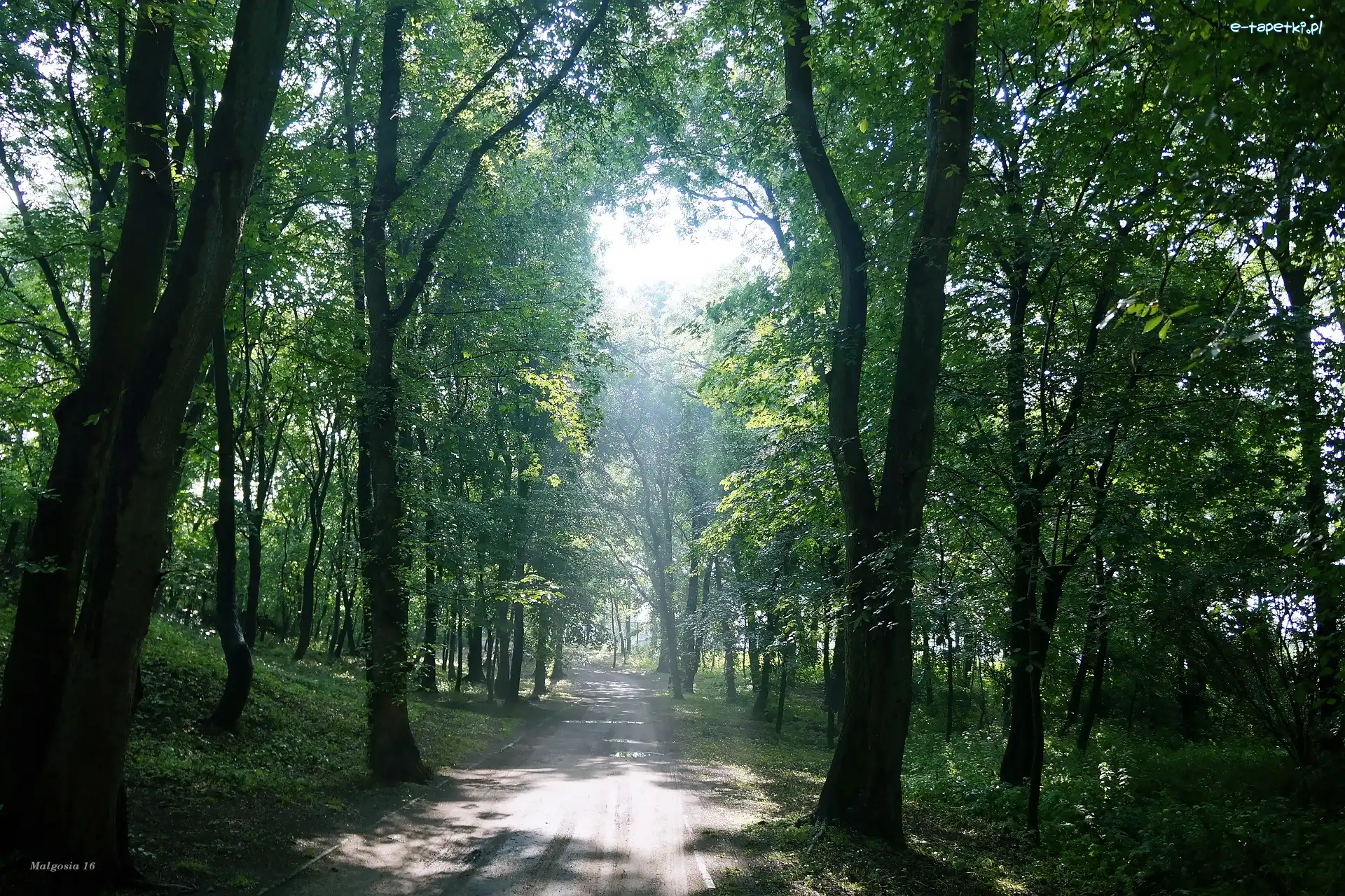 Park, Uliczka