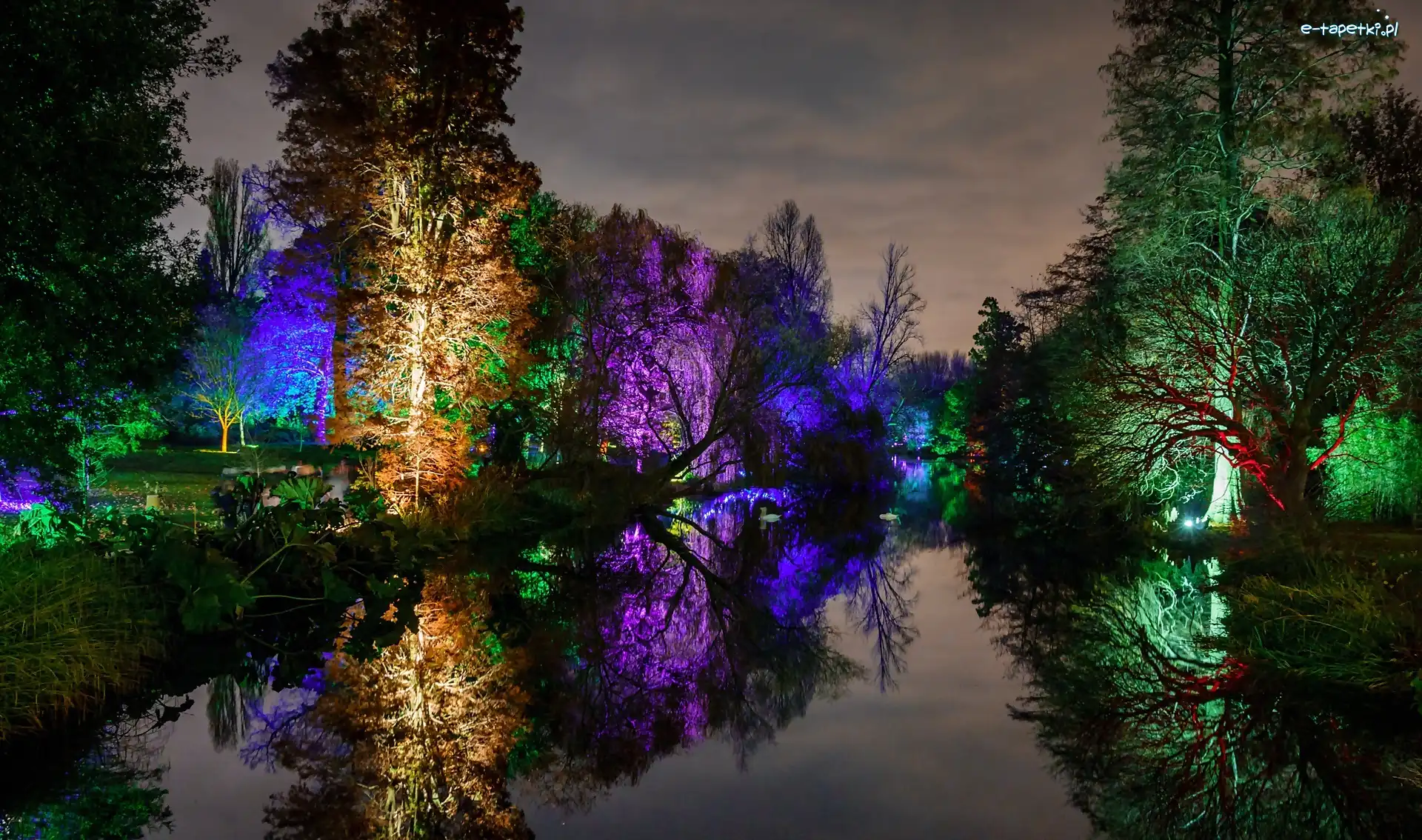 Park, Kolorowe, Staw, Zmierzch, Światła