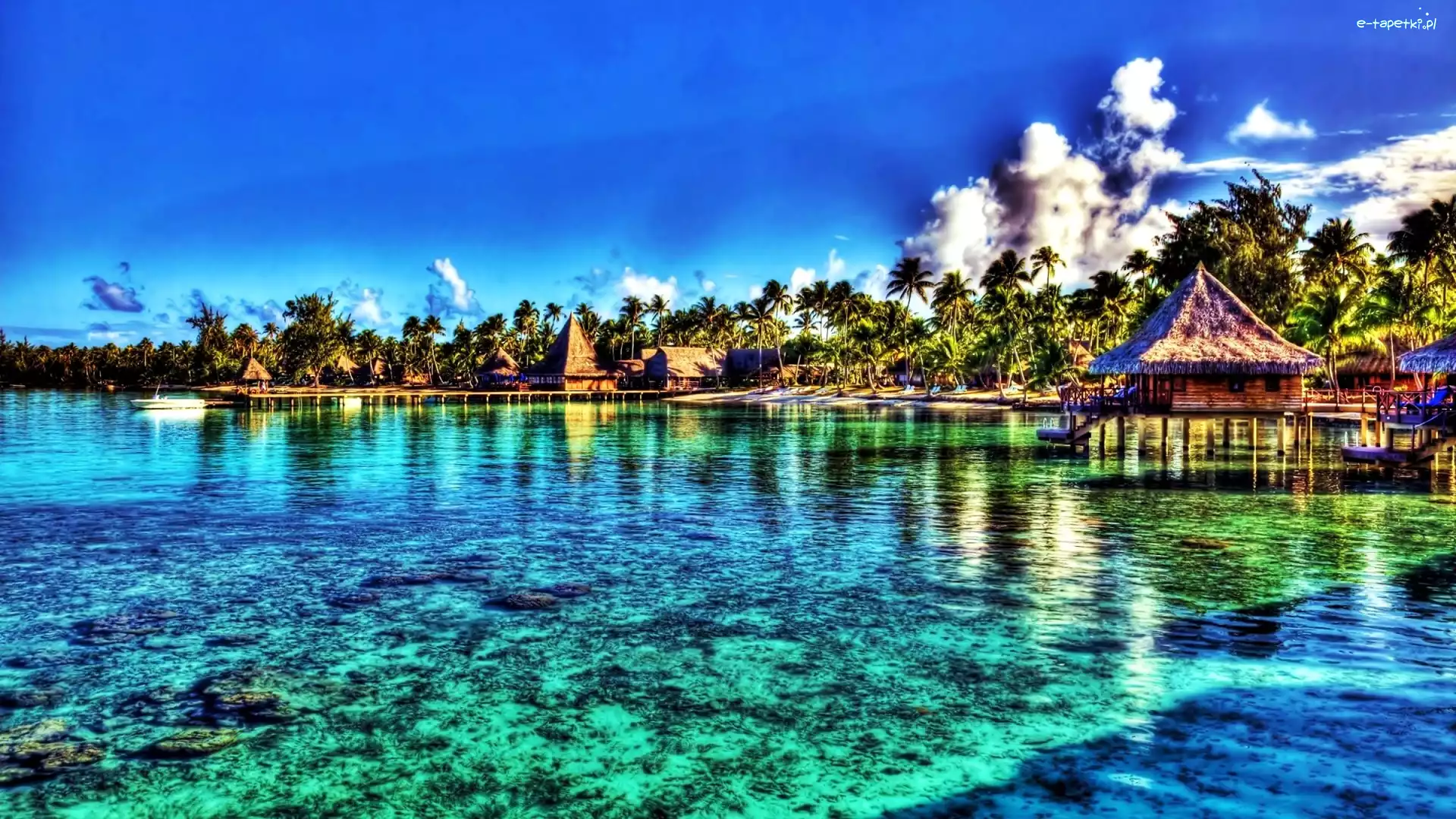 Tahiti, Domki, Palmy, HDR, Wybrzeże, Morze
