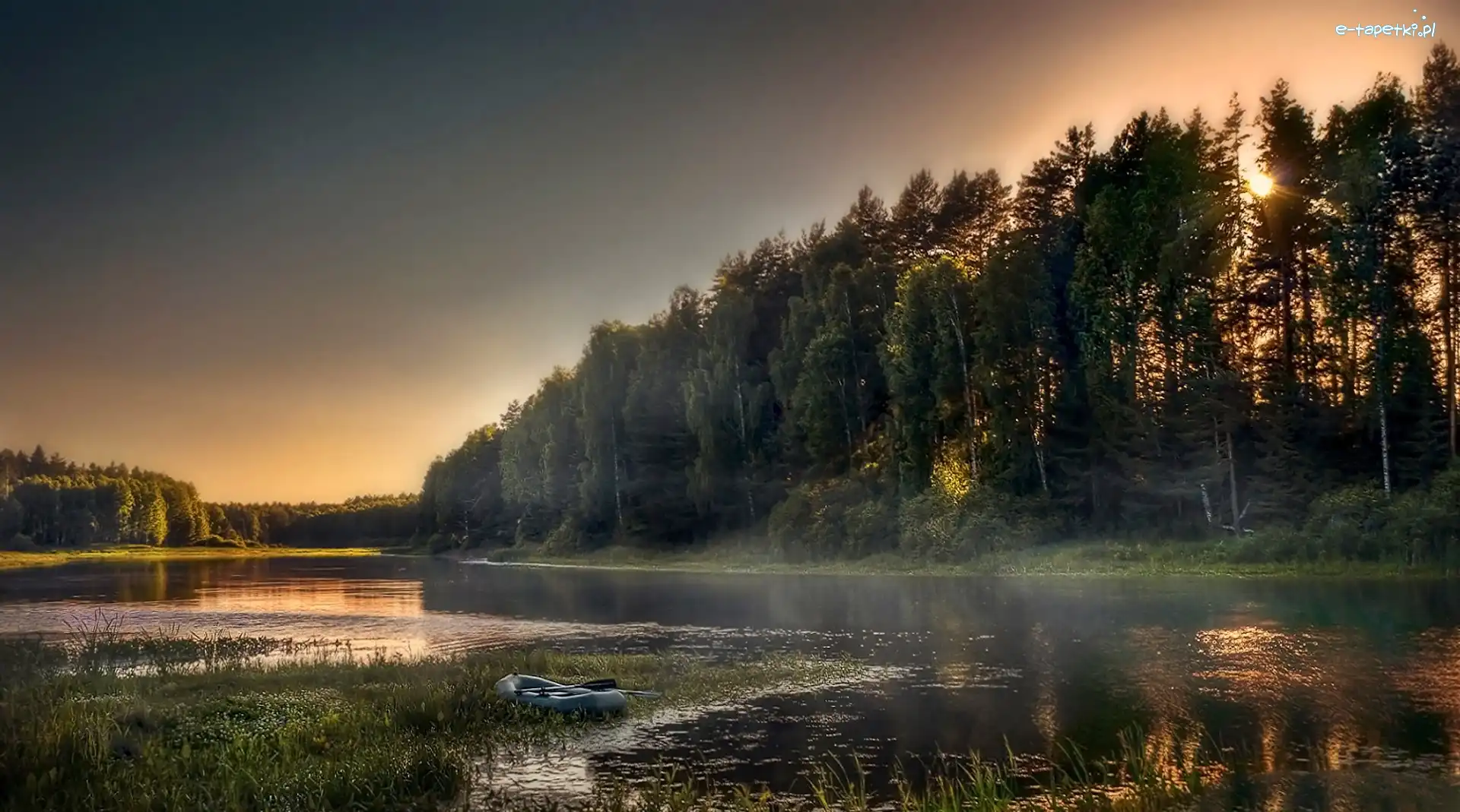 Rzeka, Przebijające, Las, Mgła, Światło