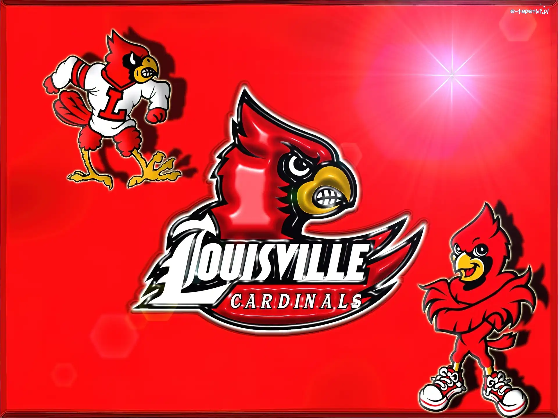 koguty, cardinals, Koszykówka