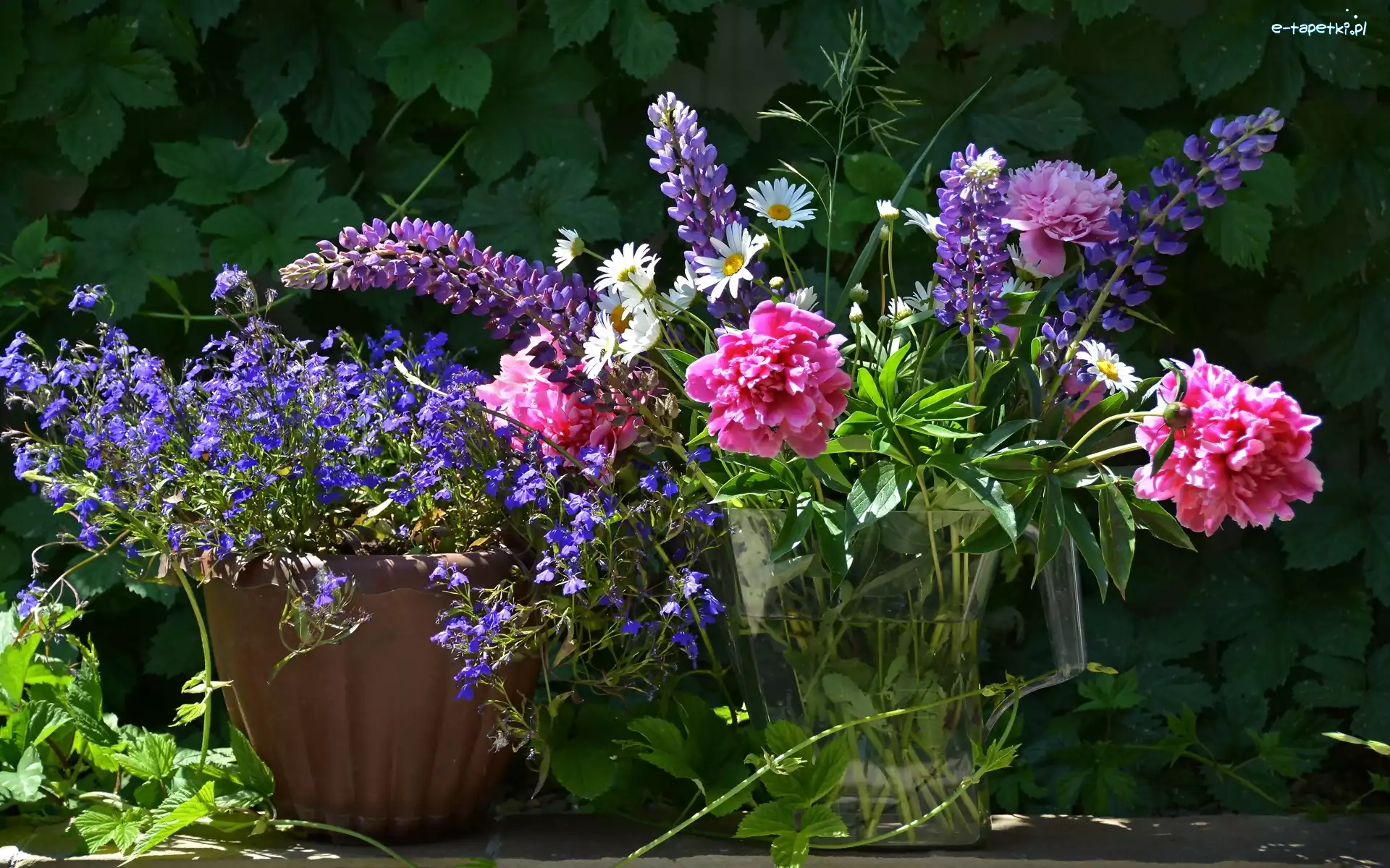 Kwiaty, Piwonia, Bukiet, Lobelia, Łubin