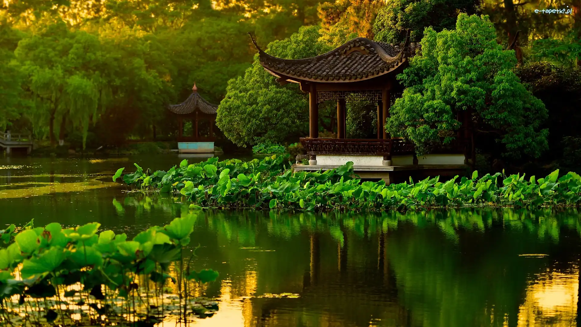 Chiny, Altanki, Drzewa, Park, Staw, Hangzhou, Liście Lotosu