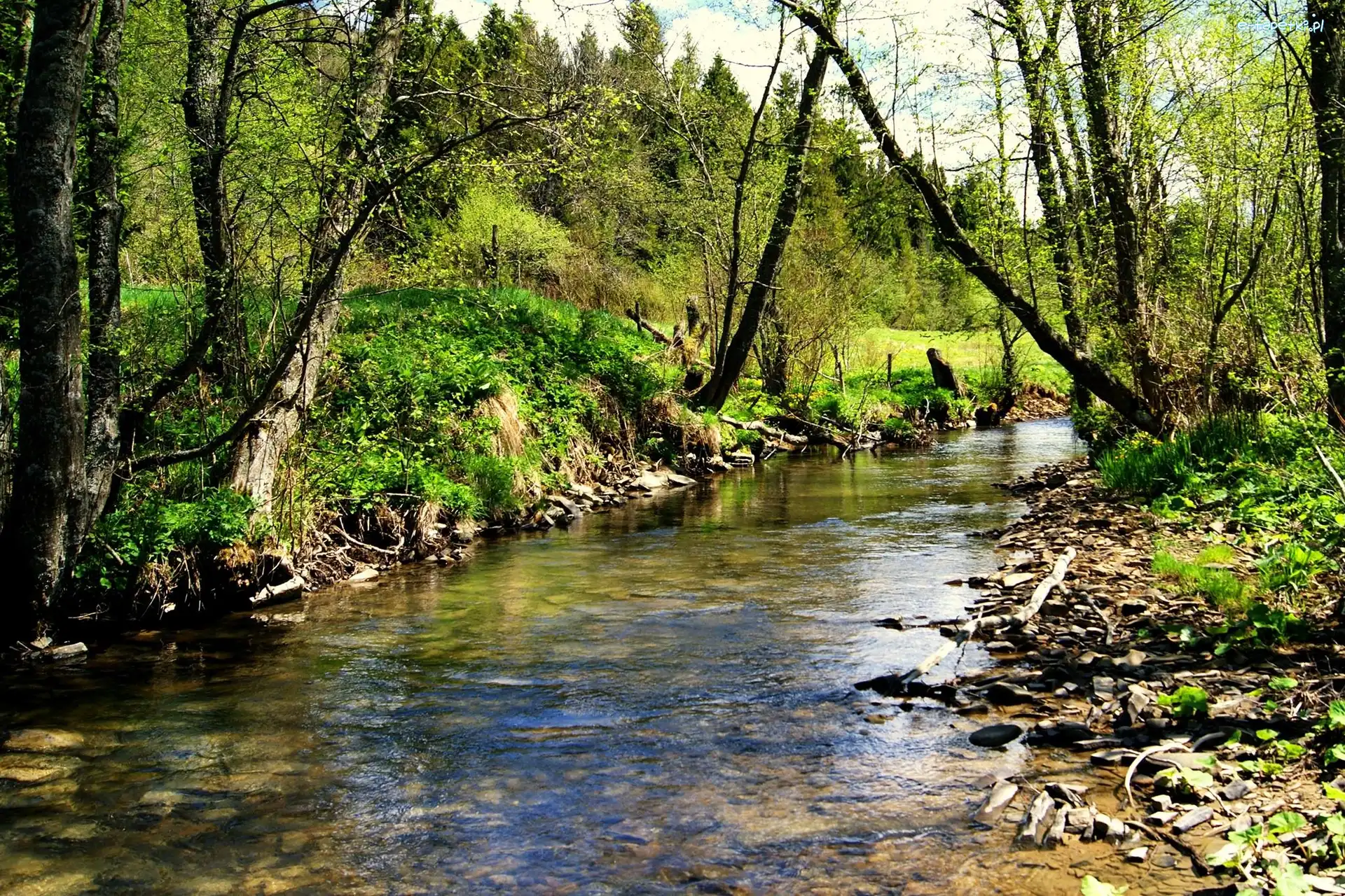 Rzeczka