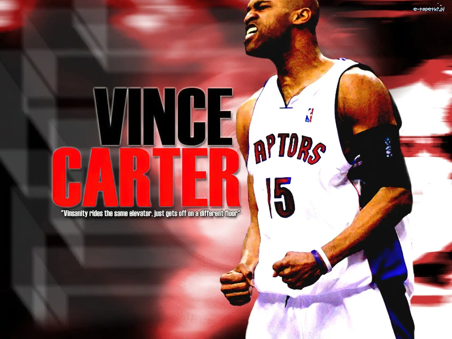 koszykarz, Vince Carter , Koszykówka