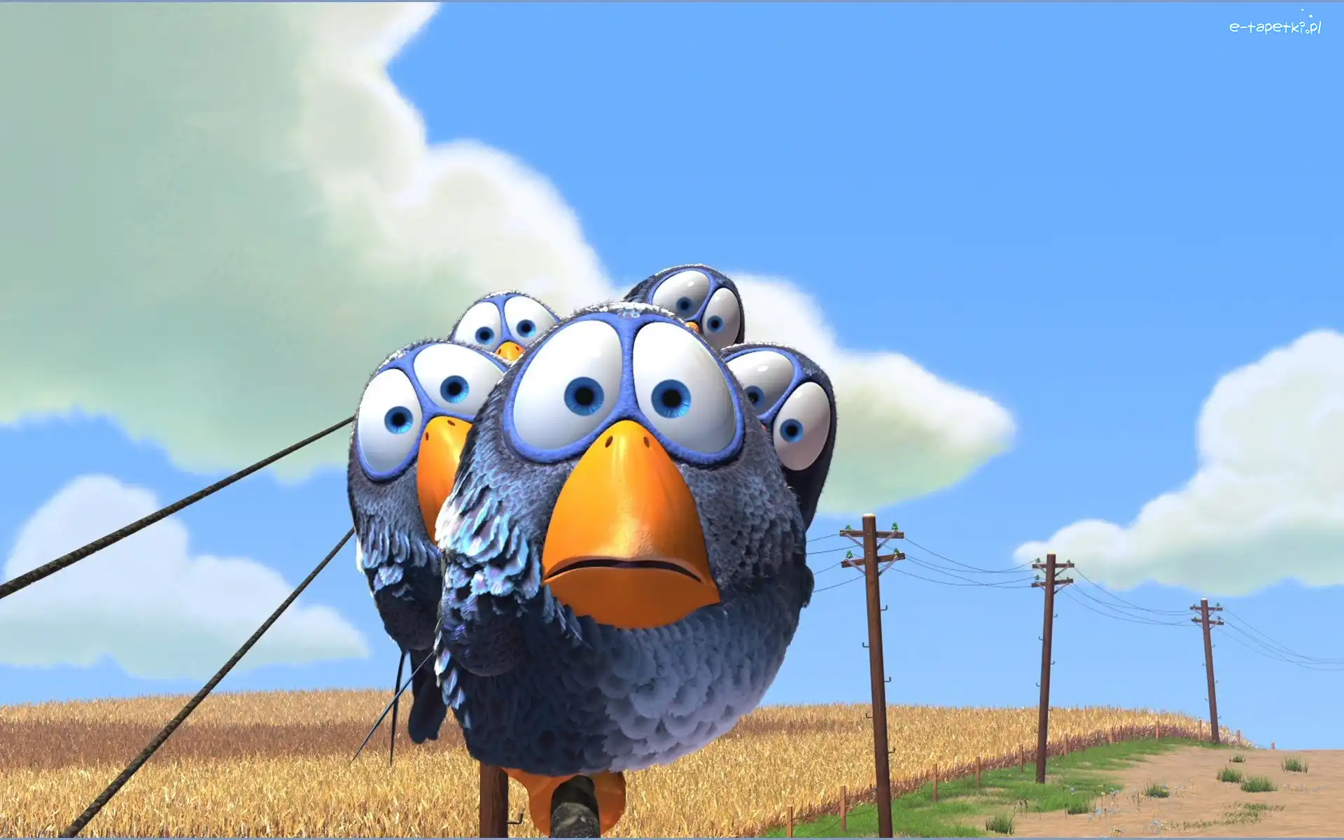 Niebo, Ptasie sprawki, Ptaki, Druty, For the Birds, Chmury, Słupy, Film animowany