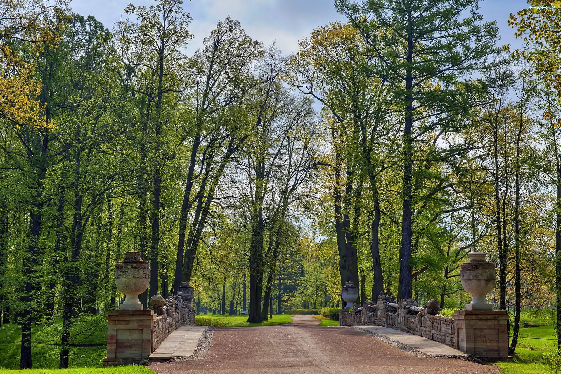 Miasto Puszkin, Stary, Kamienny, Aleksandrowski, Park, Ruina, Most