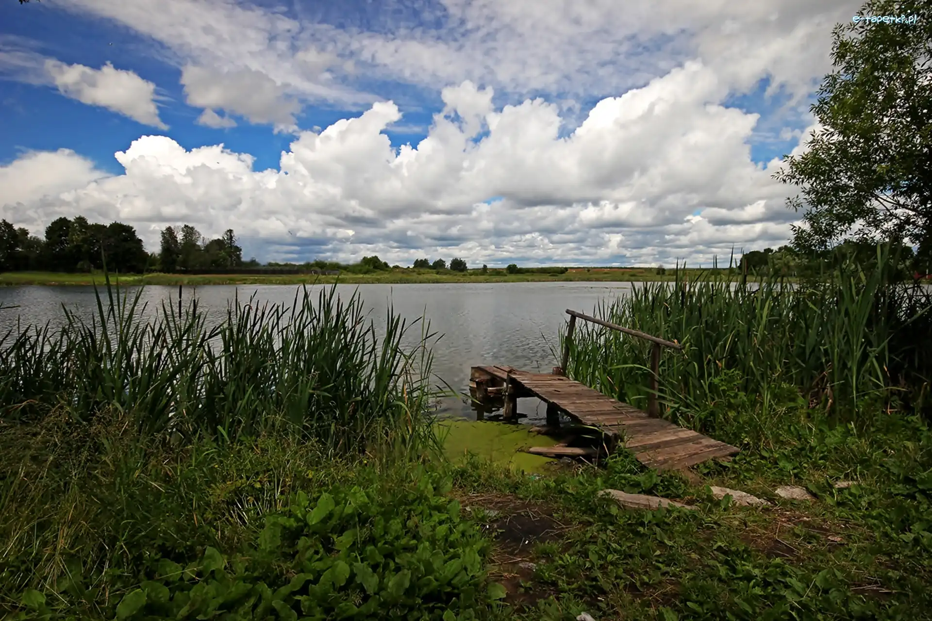 Pomost, Trzcina, Jezioro