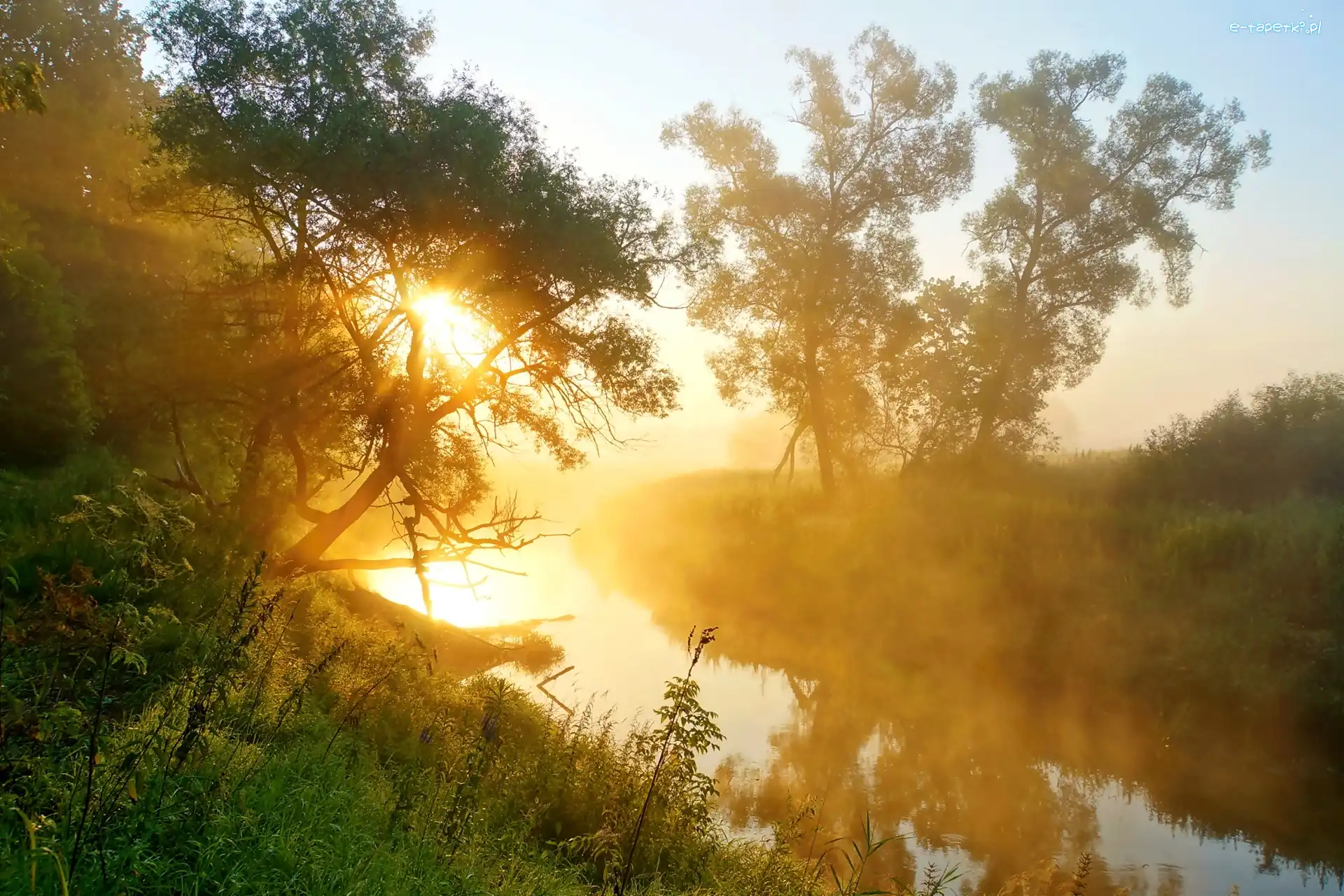 Rzeka, Promienie, Mgła, Drzewa, Słońca