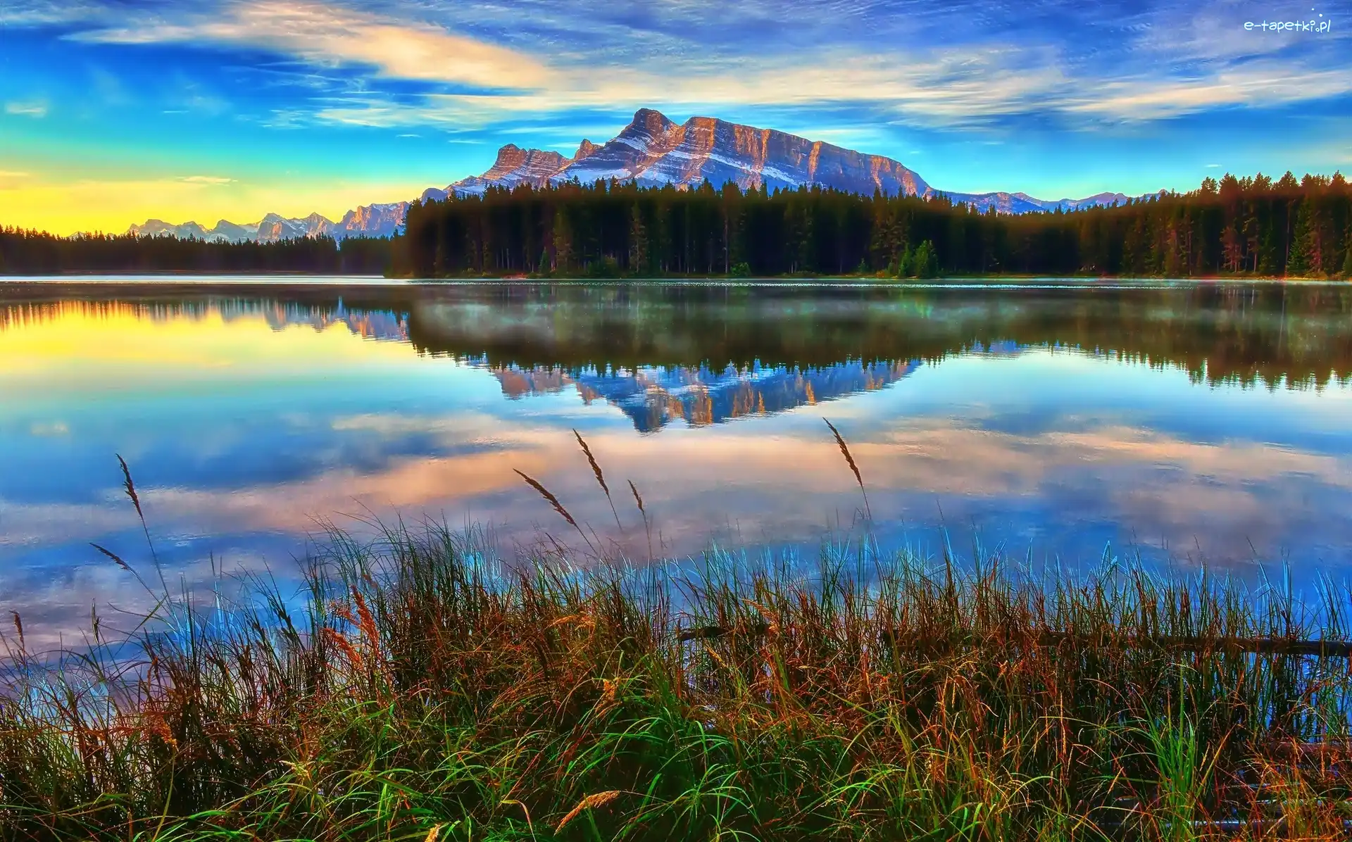Trawa, Park Narodowy Banff, Góry, Prowincja Alberta, Kanada, Las, Jezioro