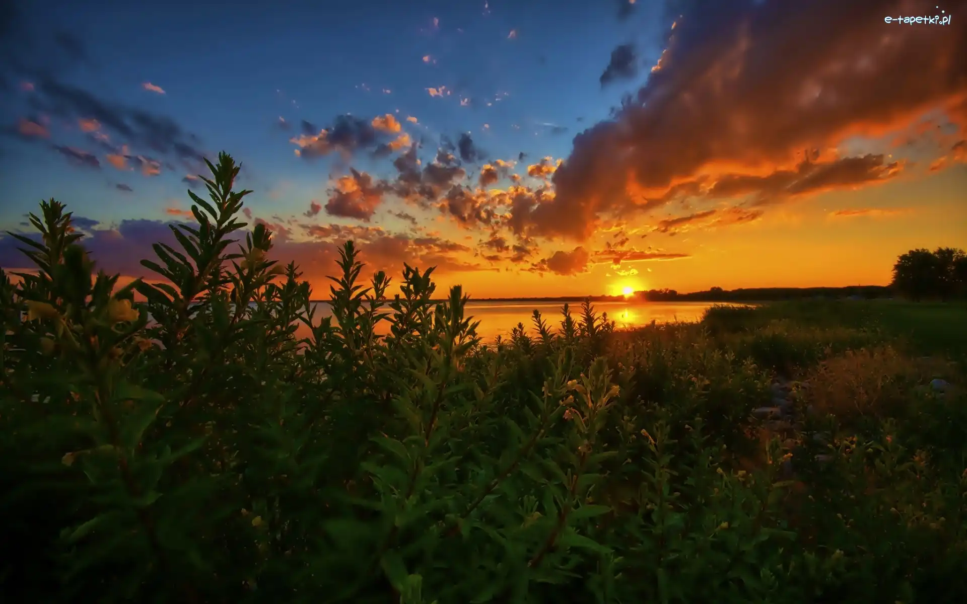 Chmury, USA, Zachód Słońca, Jezioro Michigan