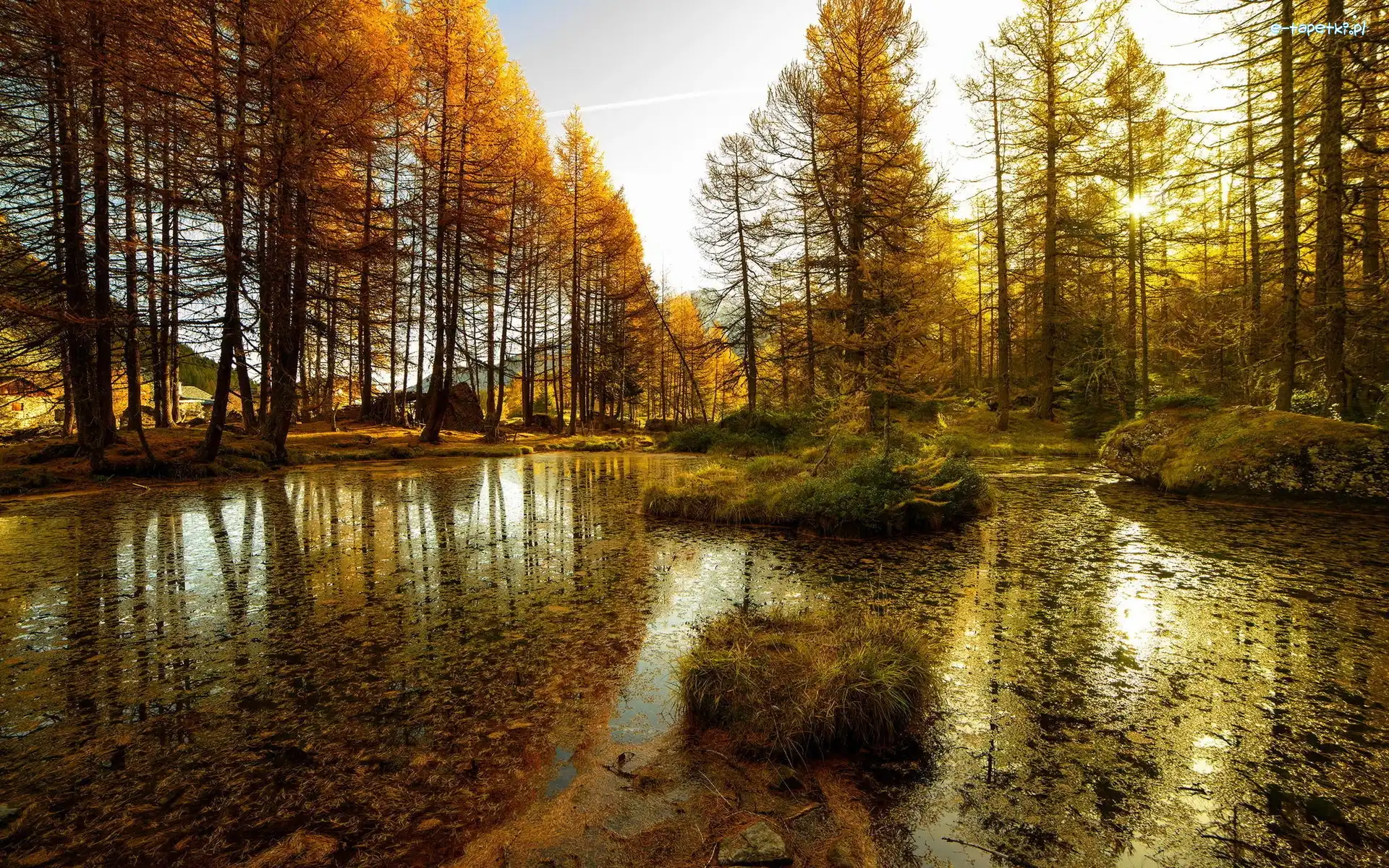 Las, Jezioro