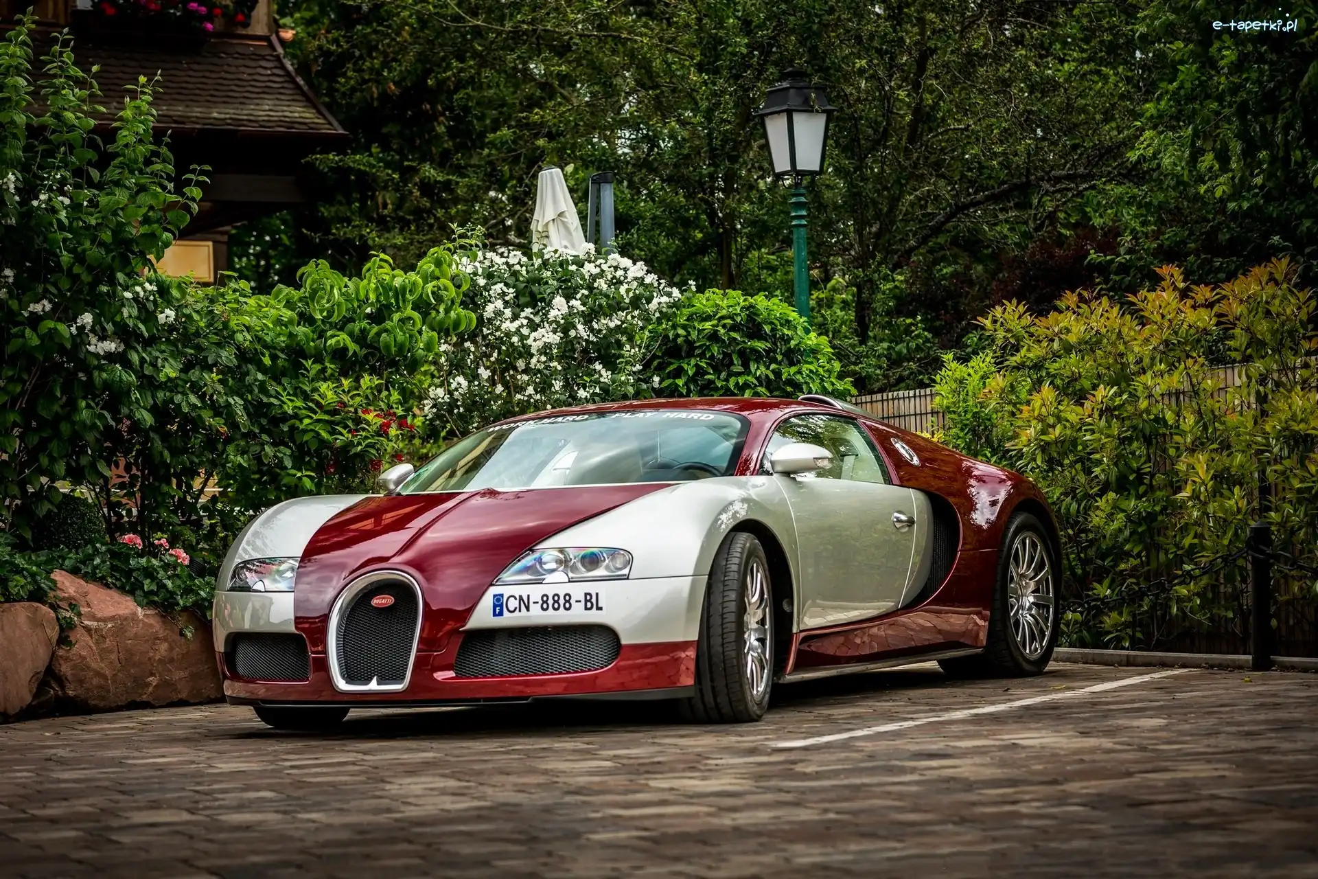 Auto, Dom, Posesja, Bugatti Veyron