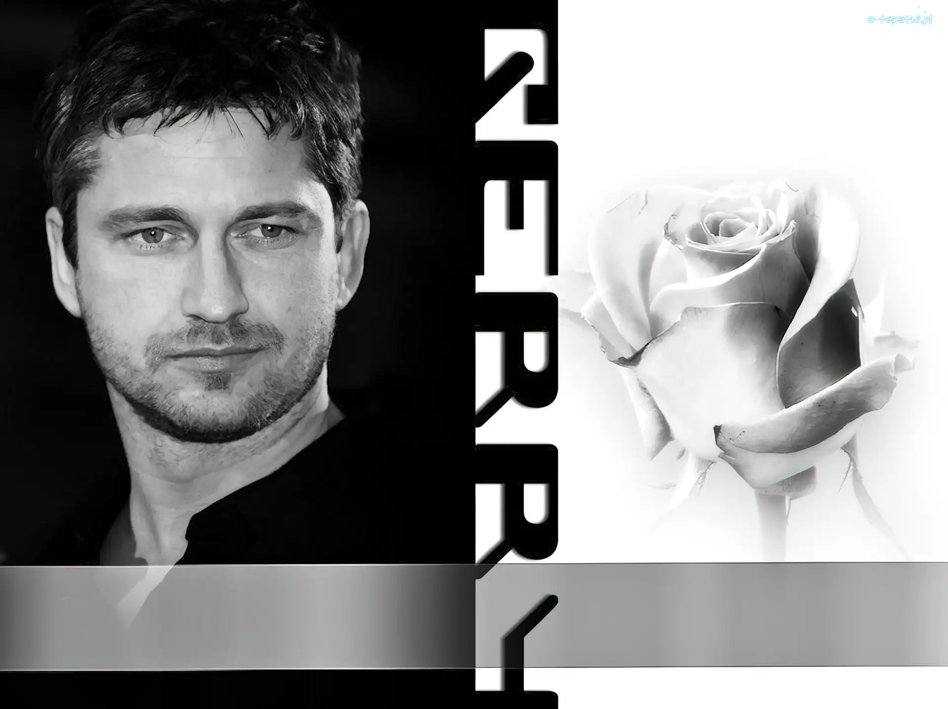 róża, Gerard Butler