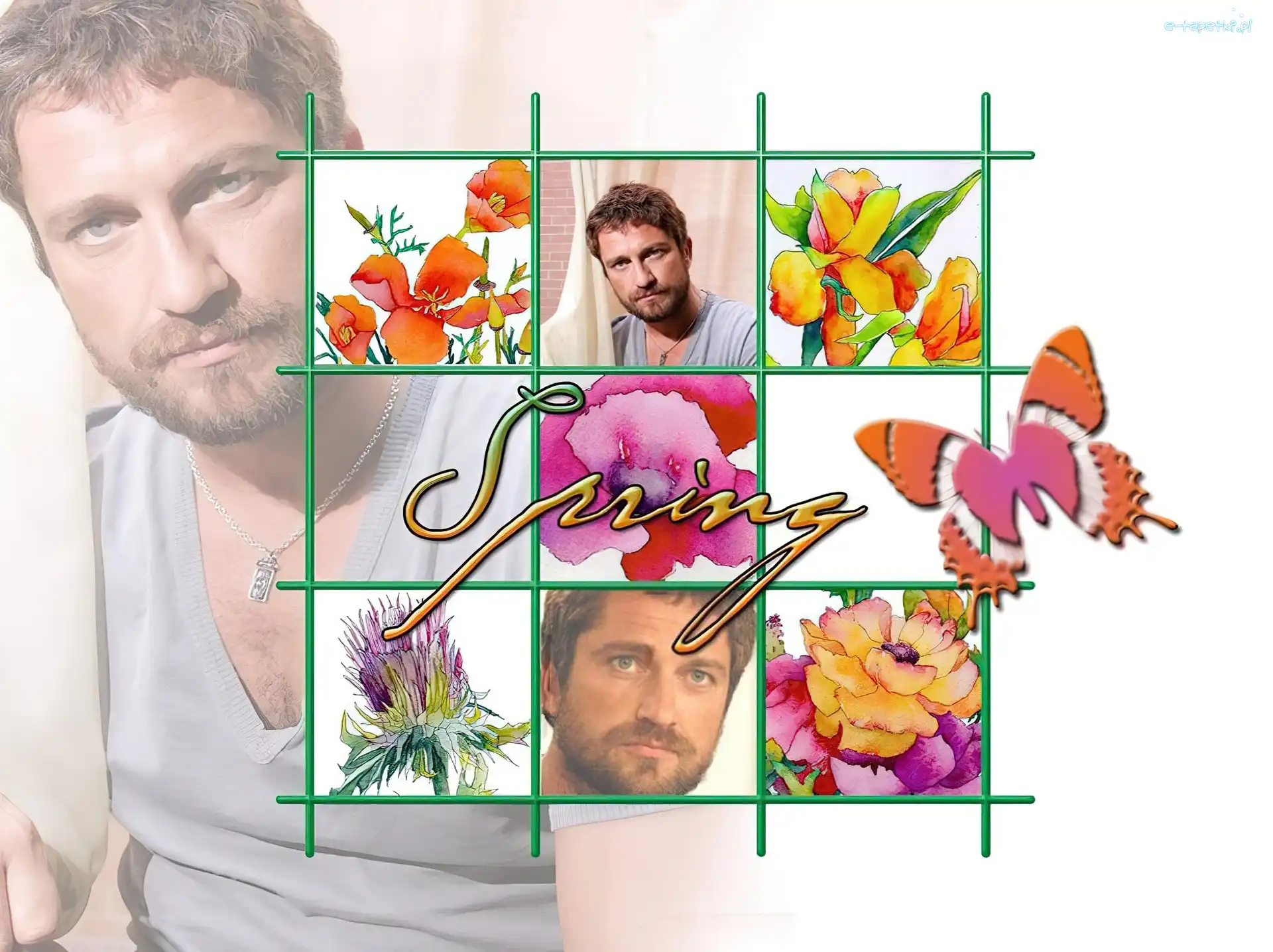 motylek, spring, Gerard Butler