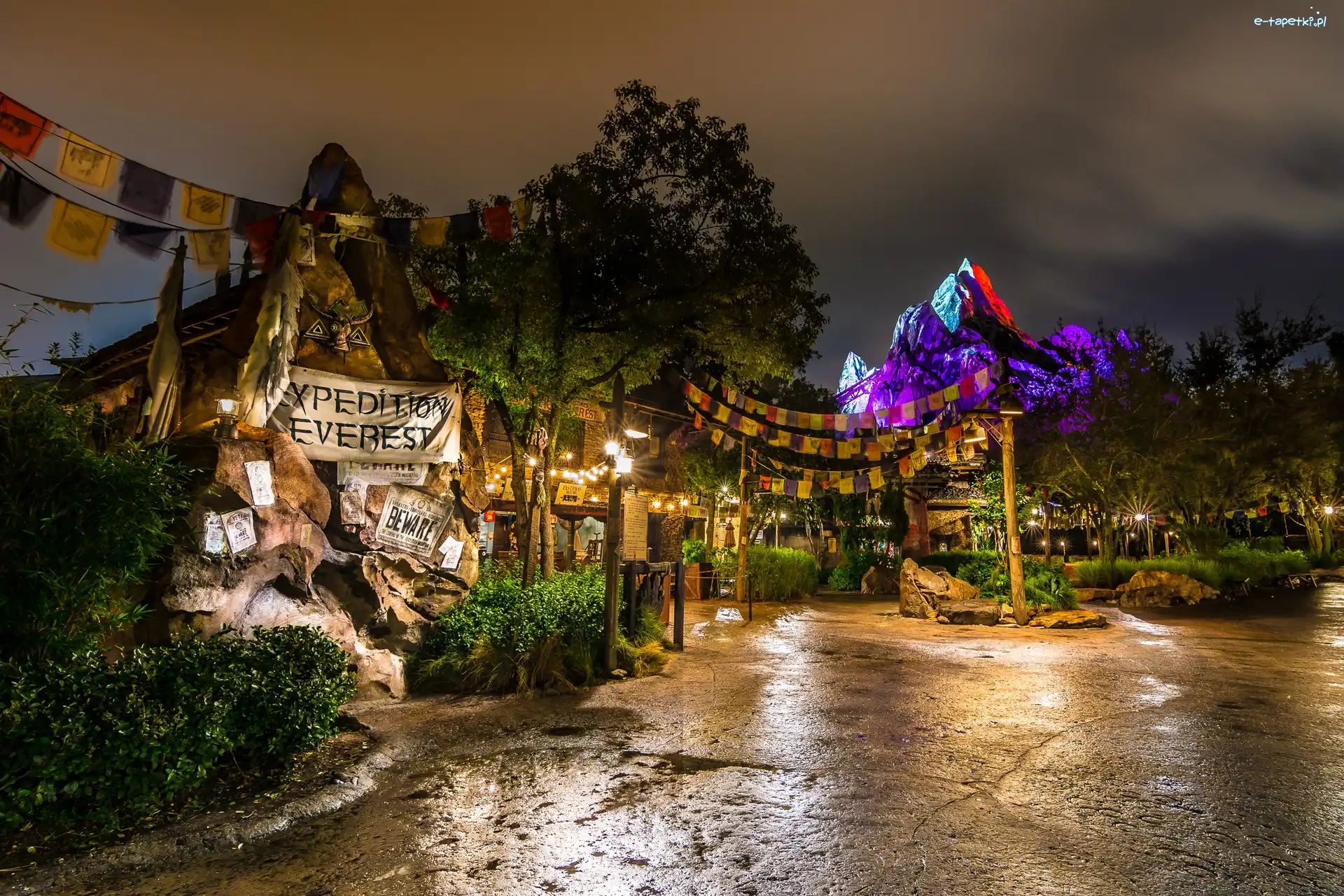 Park, Disneyland, Rozrywki, Miasteczko, Wesołe