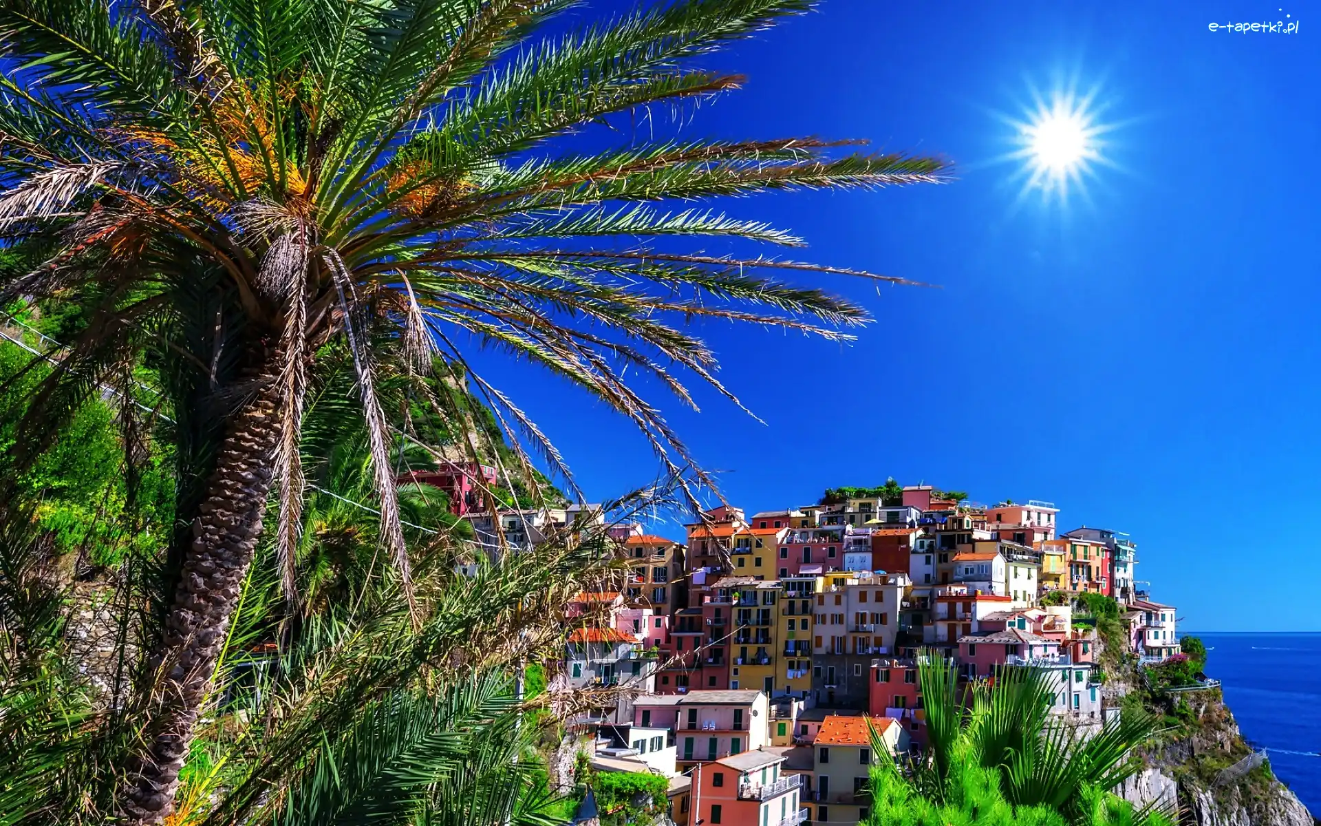 Palmy, Miasto, Słońce, Lato, Włochy, Manarola
