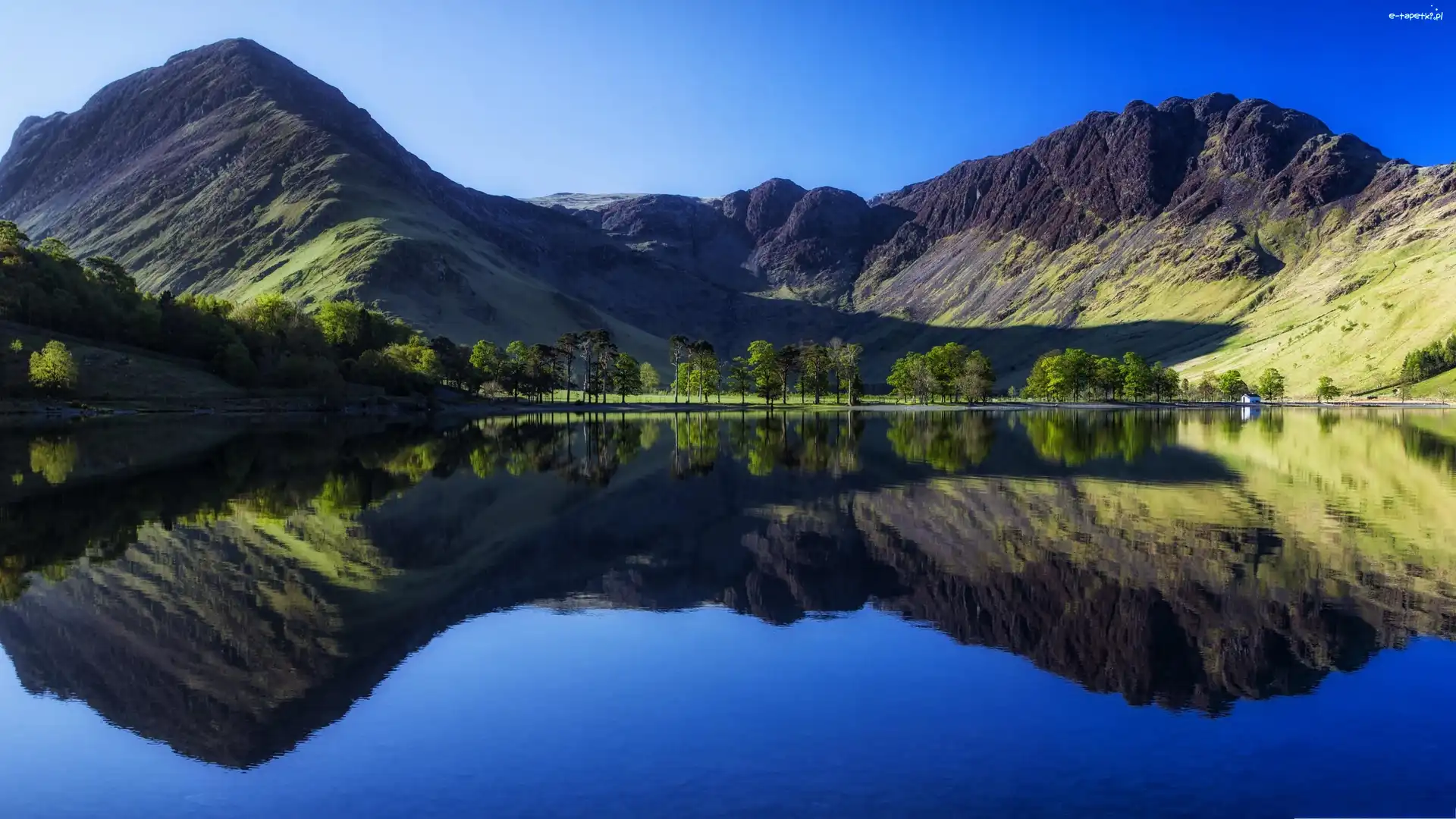 Jezioro Buttermere, Drzewa, Góry, Anglia, Odbicie