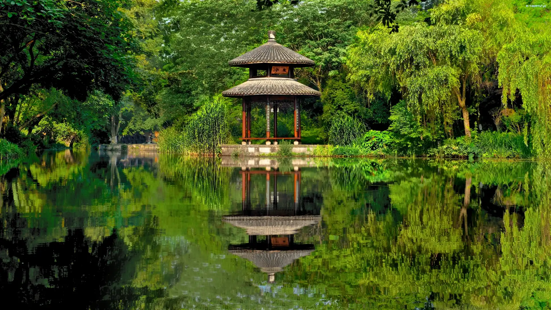 Chiński, Altana, Park, Drzewa, Staw